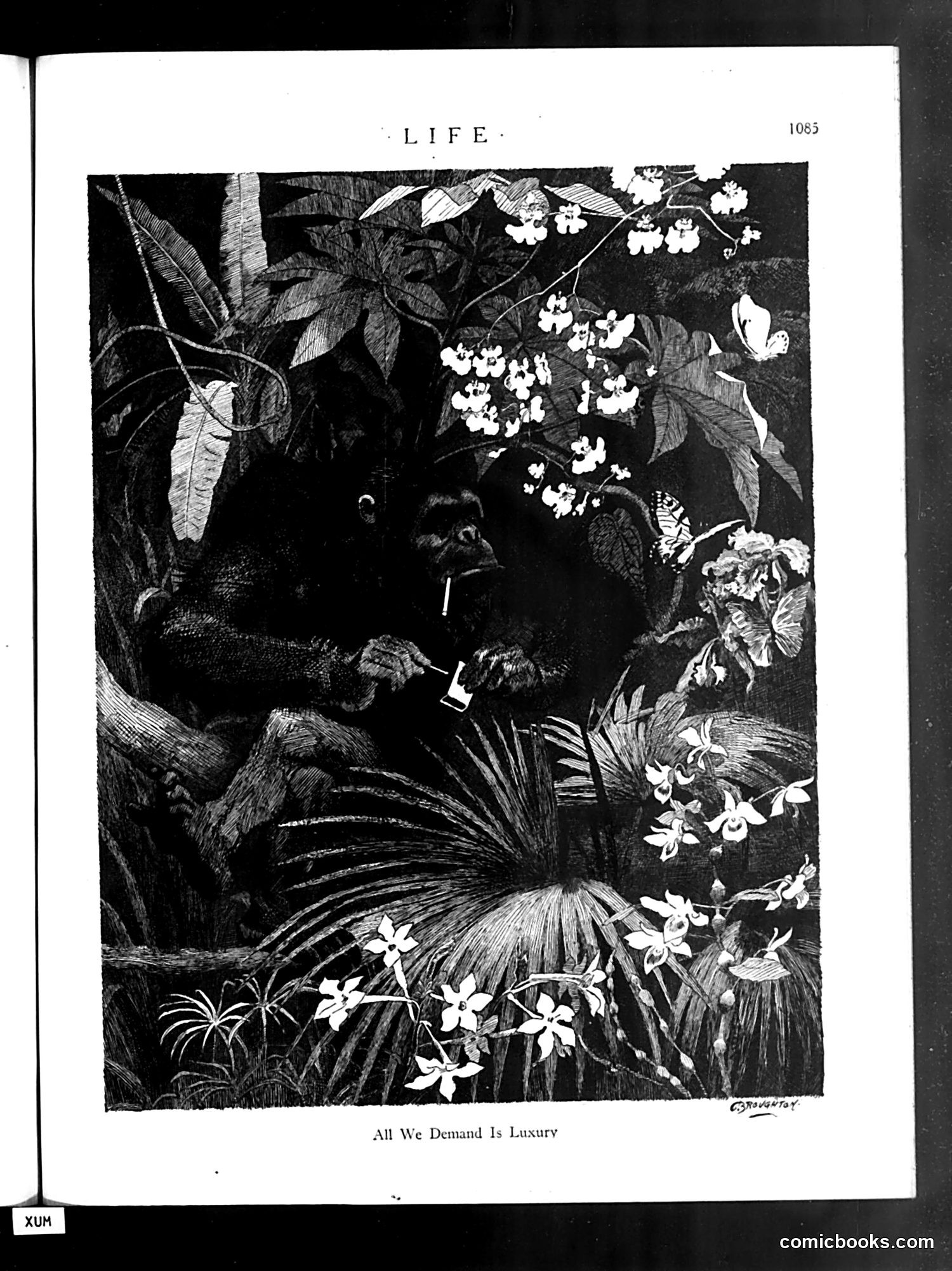 Life — December 9, 1920 — page 9 of 44