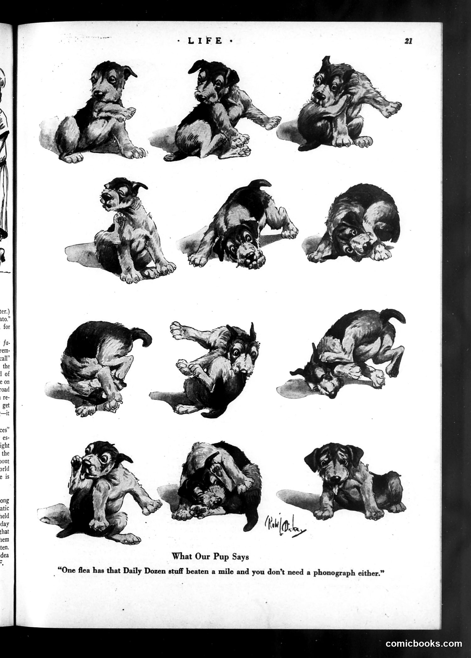 Life — November 16, 1922 — page 23 of 36