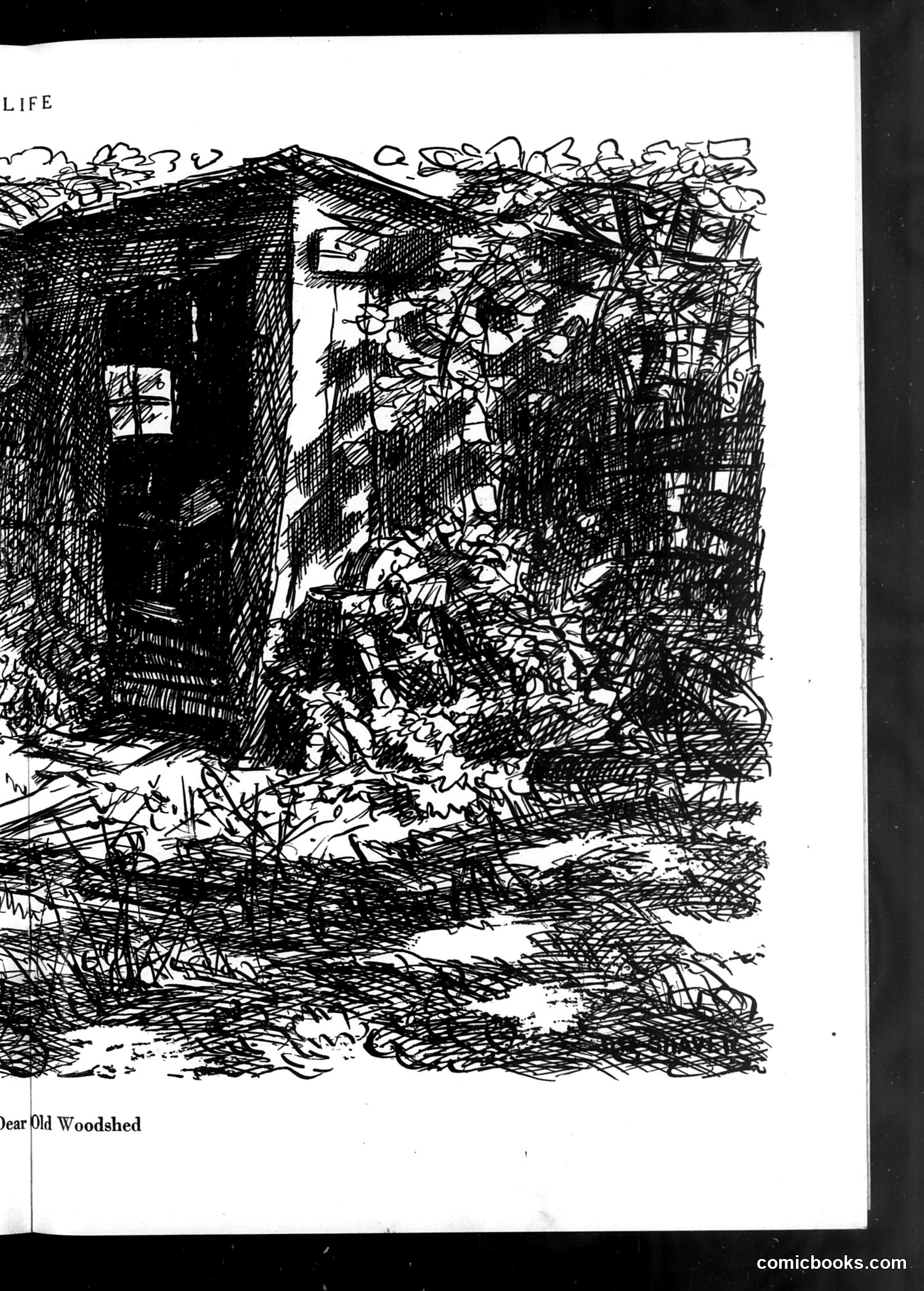 Life — June 7, 1923 — page 23 of 44