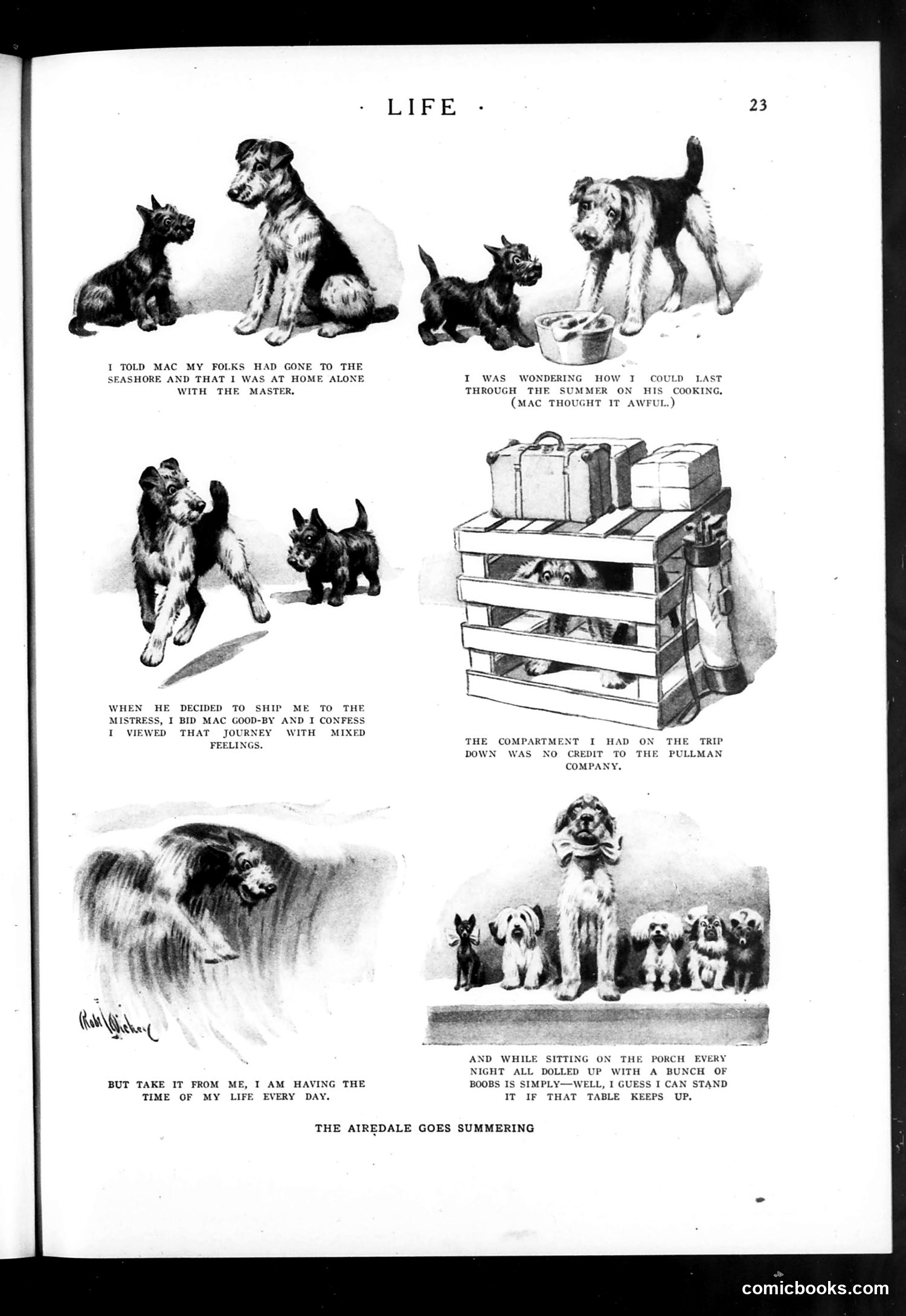 Life — July 19, 1923 — page 25 of 36