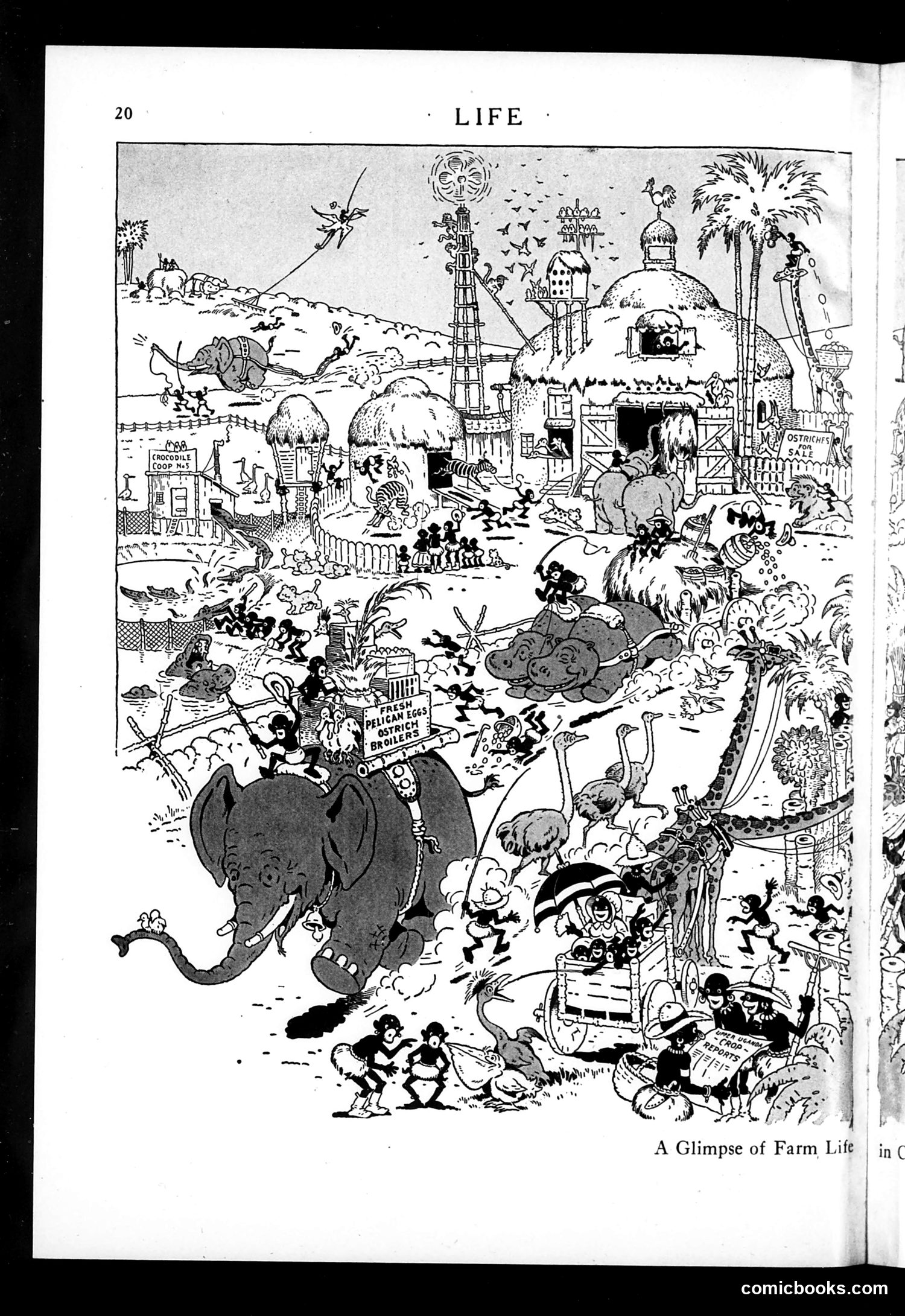 Life — August 16, 1923 — page 22 of 36