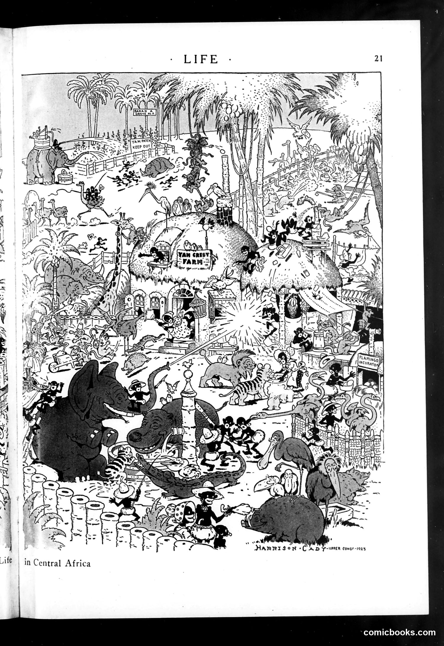 Life — August 16, 1923 — page 23 of 36