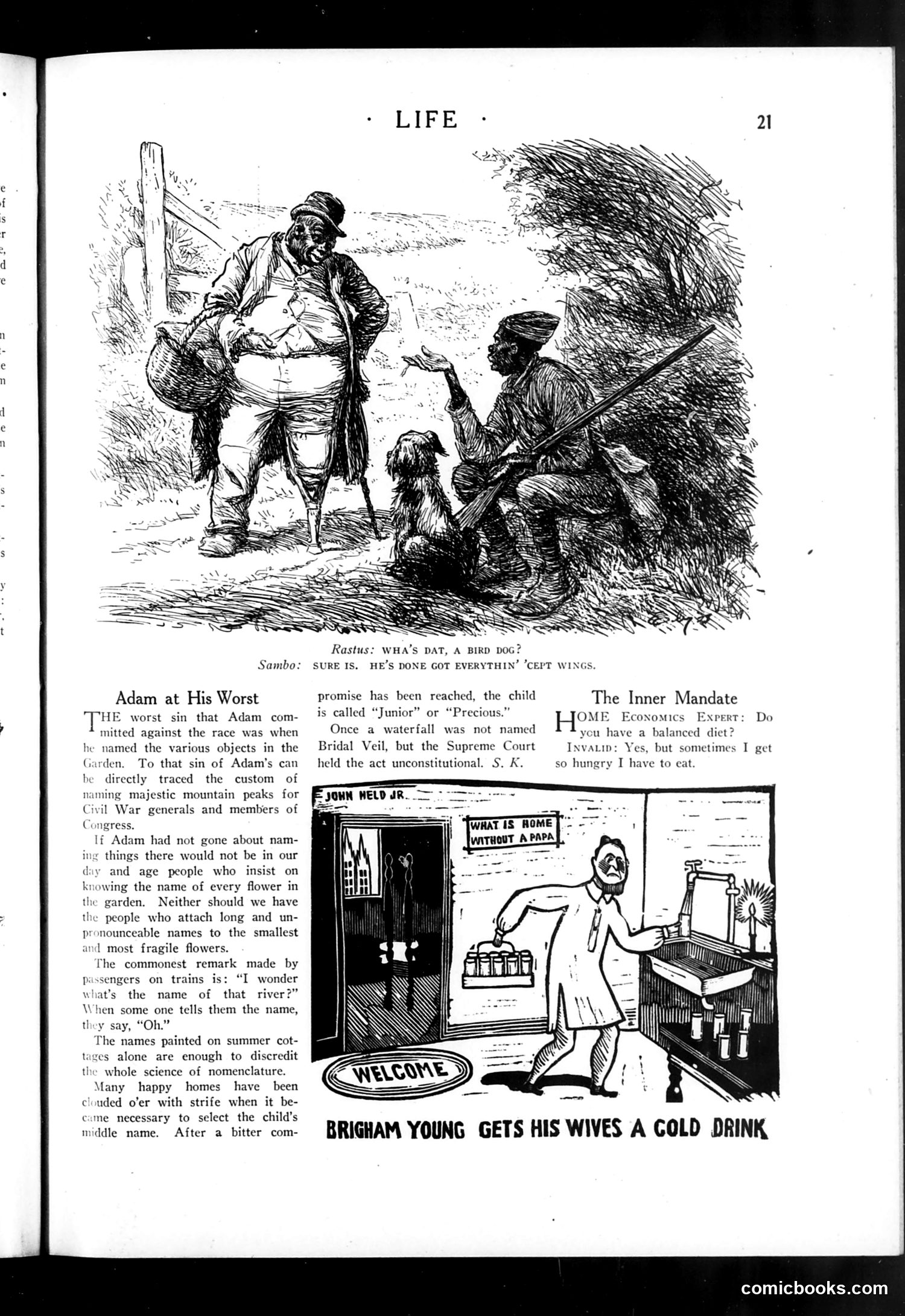 Life — August 23, 1923 — page 23 of 36