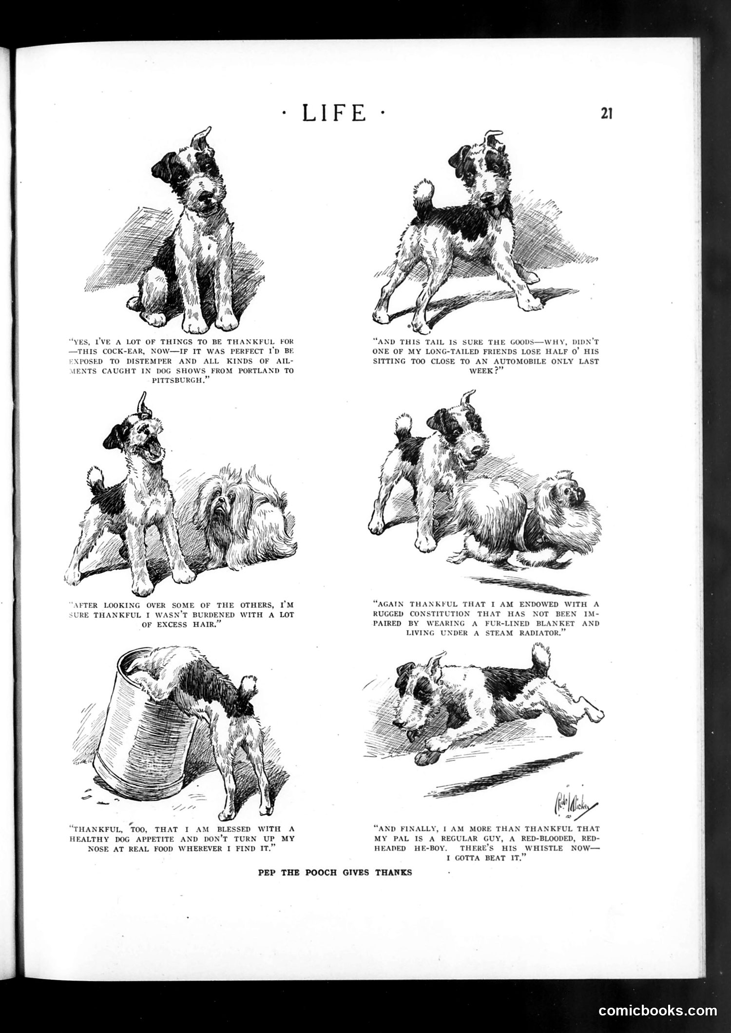 Life — November 29, 1923 — page 25 of 38