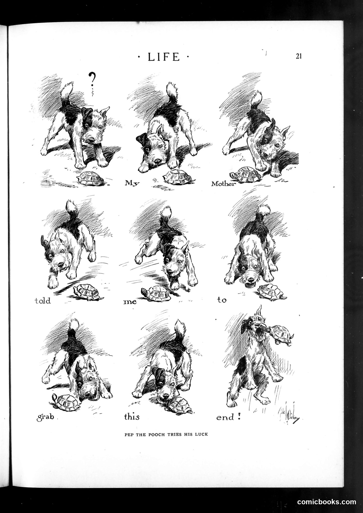 Life — December 20, 1923 — page 23 of 36
