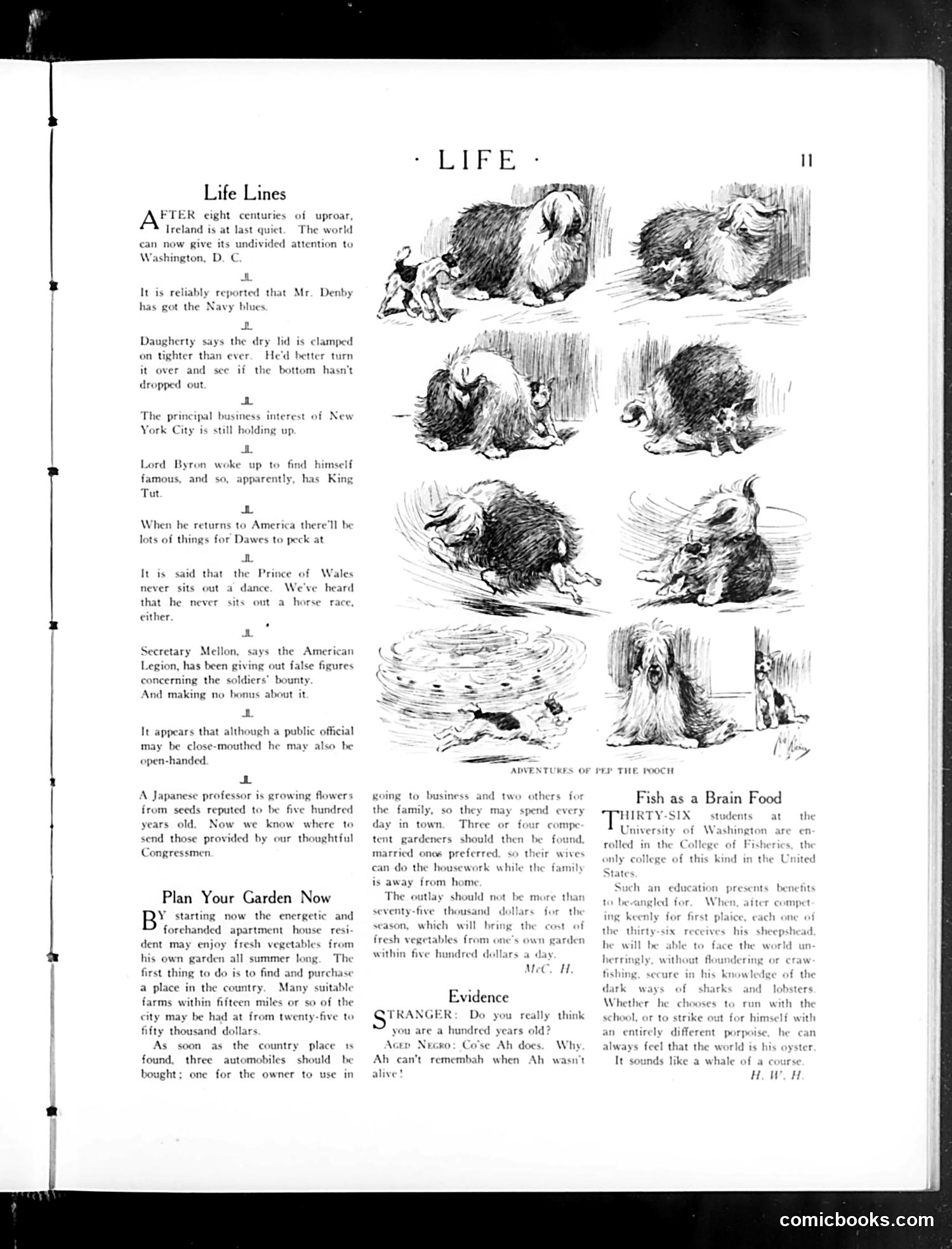 Life — March 13, 1924 — page 13 of 40