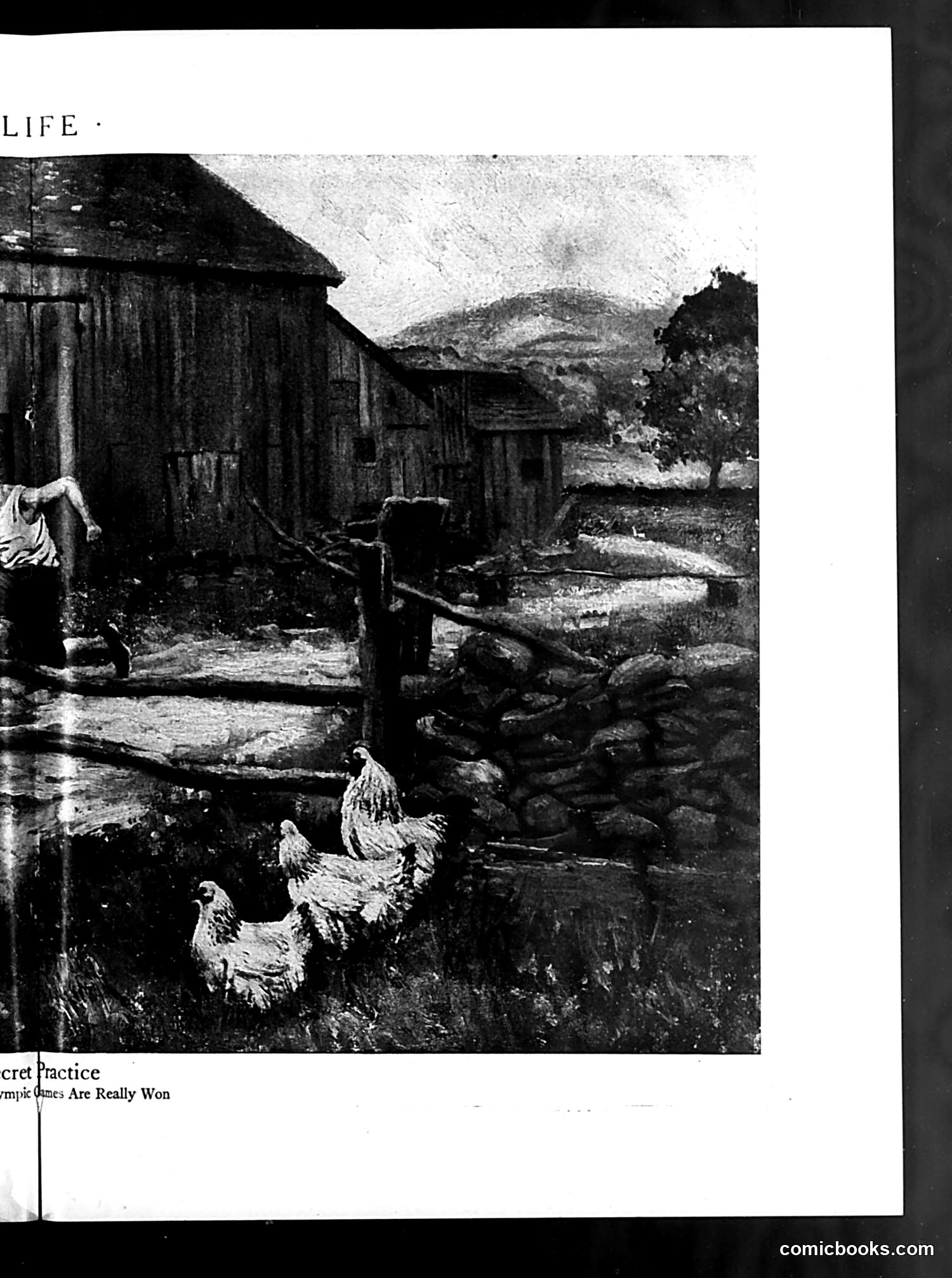 Life — July 10, 1924 — page 19 of 36