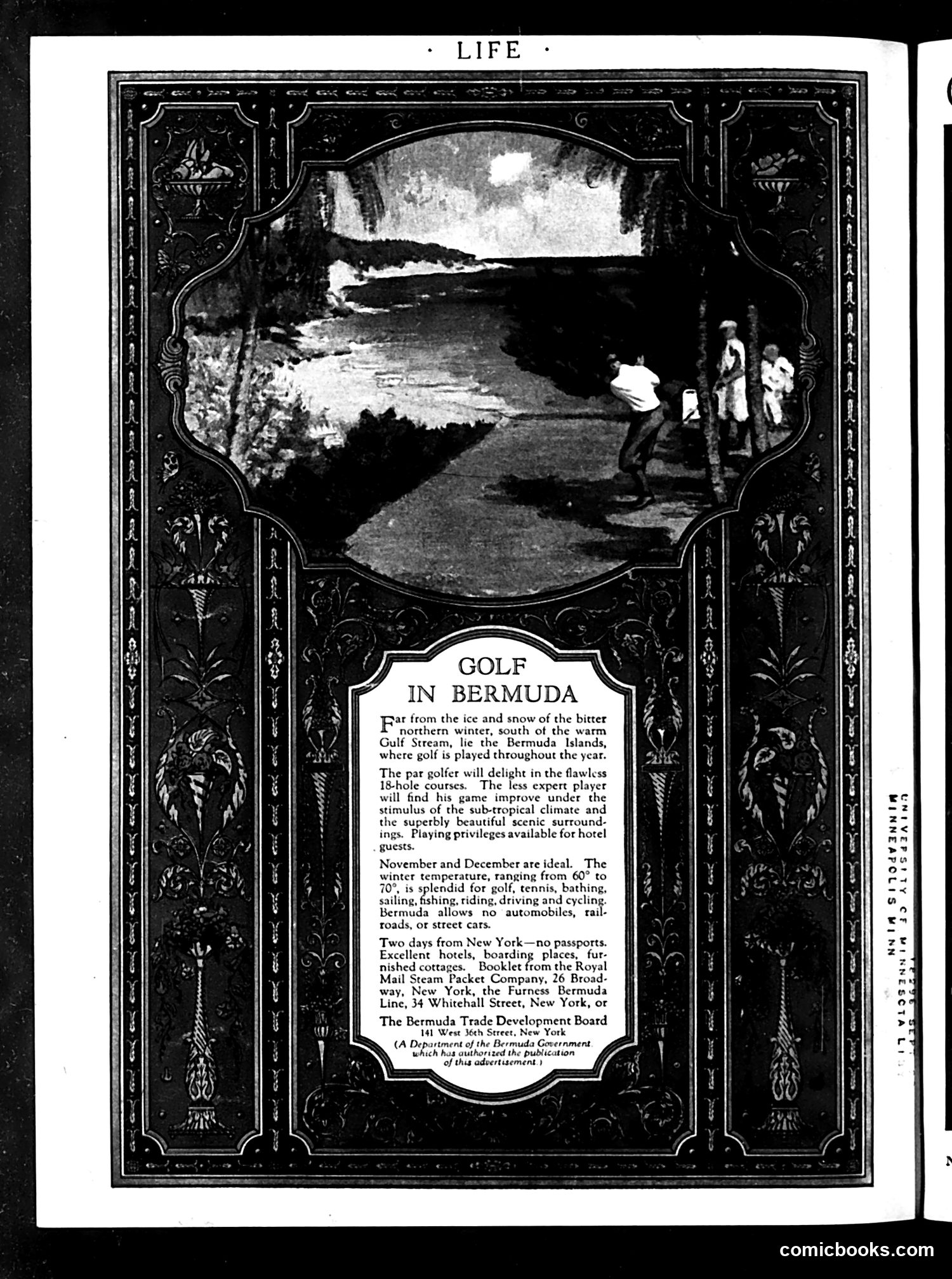 Life — October 30, 1924 — page 36 of 36