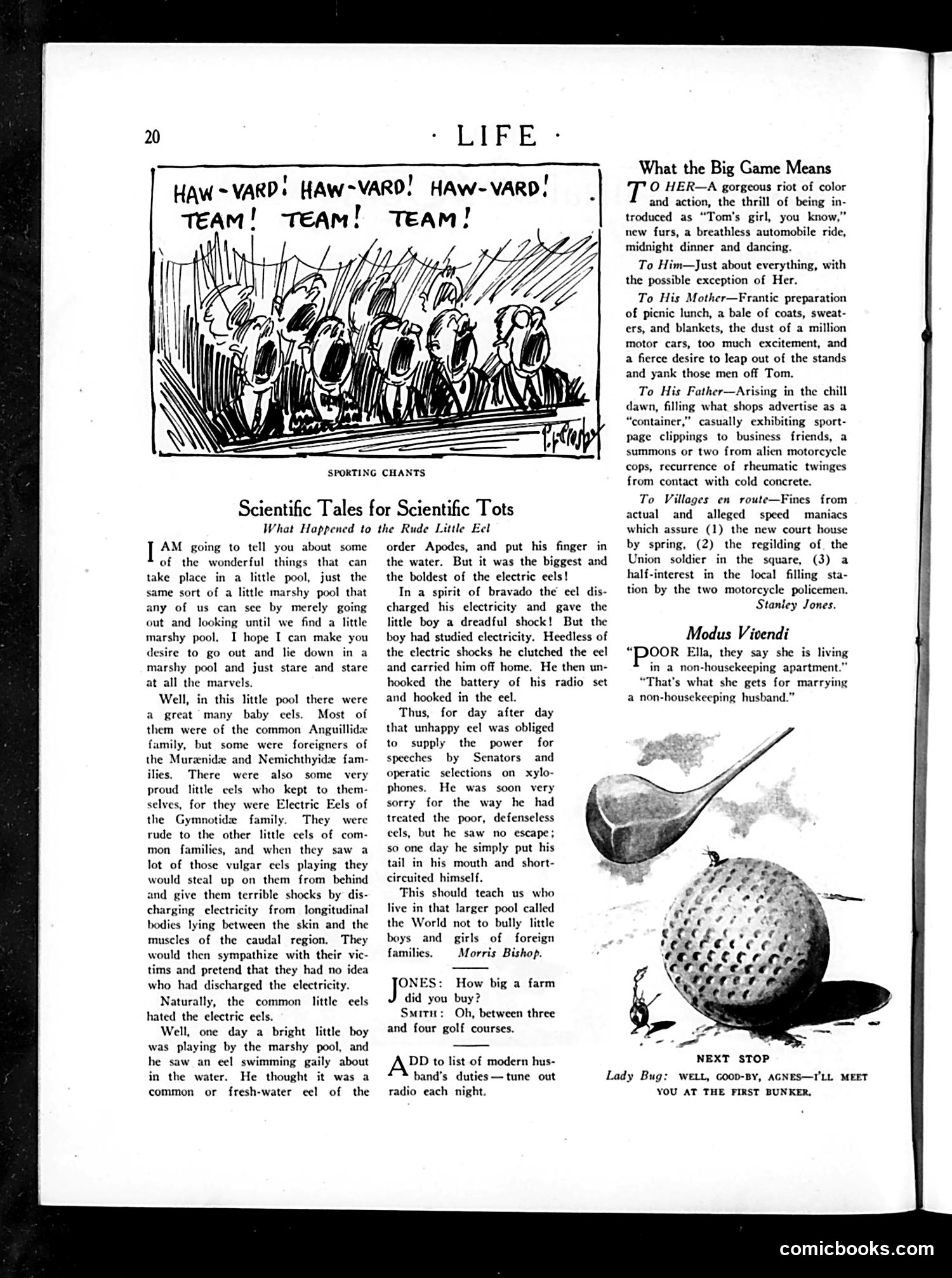 Life — November 13, 1924 — page 28 of 42