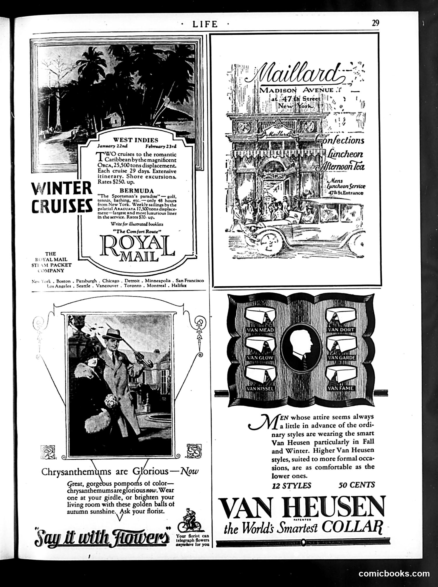 Life — November 13, 1924 — page 37 of 42