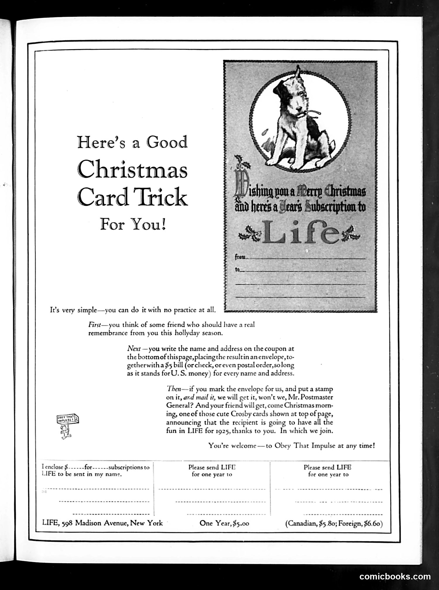 Life — December 11, 1924 — page 35 of 36