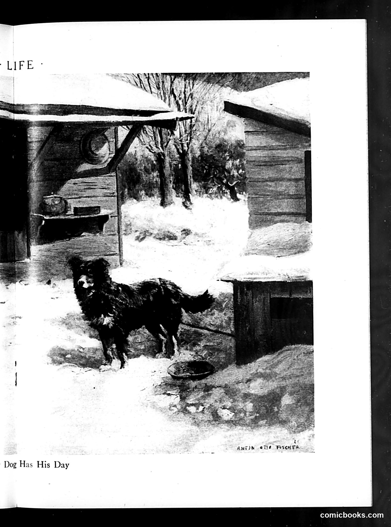 Life — January 22, 1925 — page 19 of 36