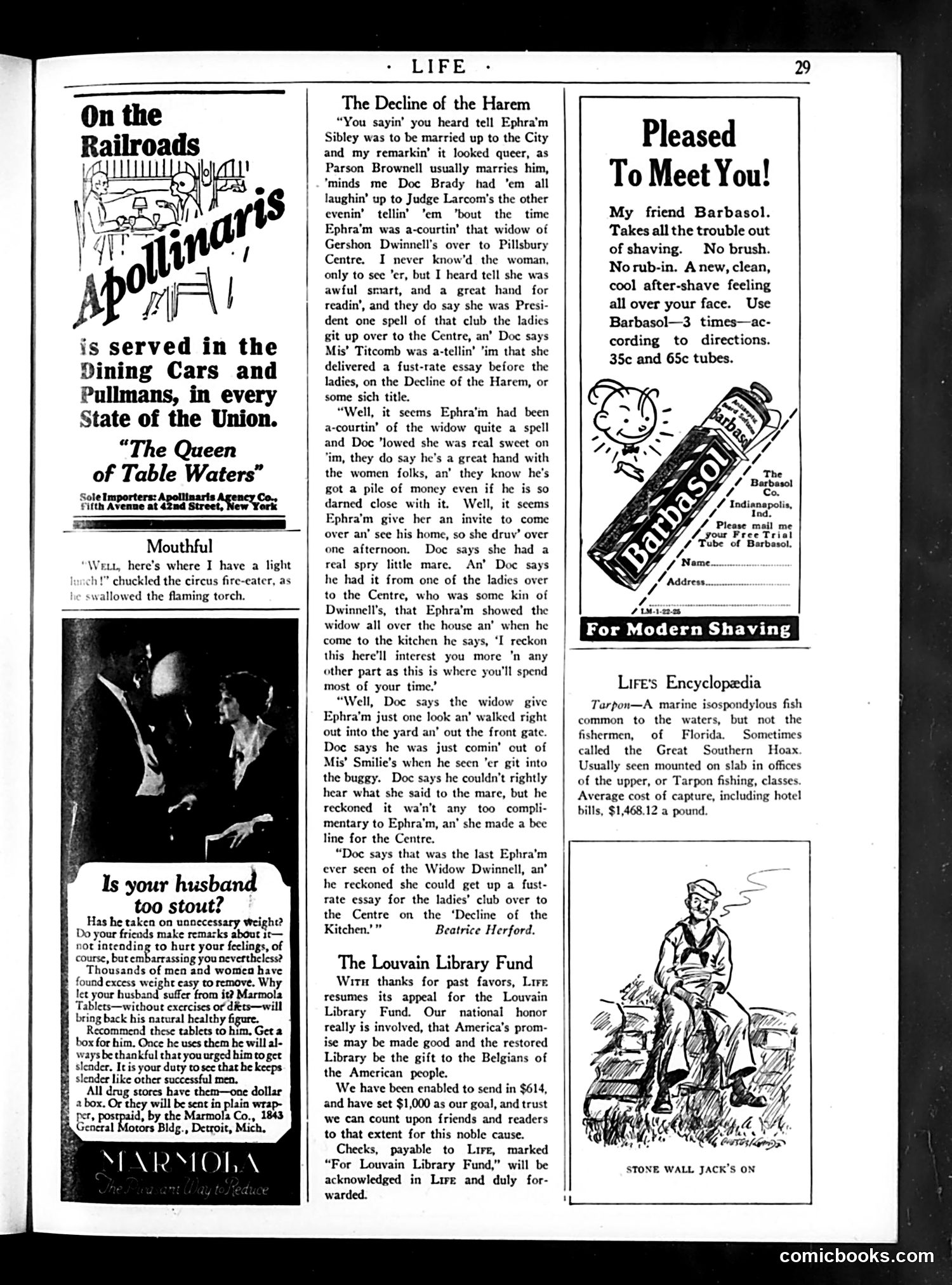 Life — January 22, 1925 — page 31 of 36