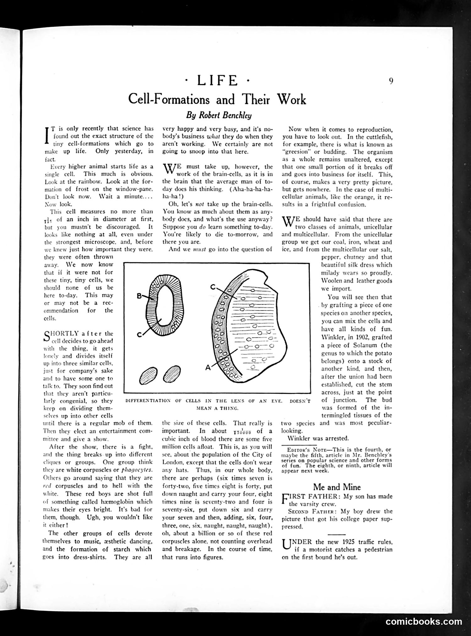 Life — June 4, 1925 — page 11 of 44