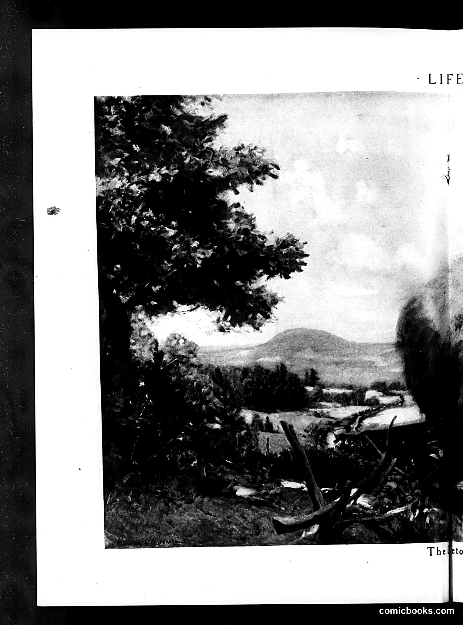 Life — June 11, 1925 — page 18 of 36