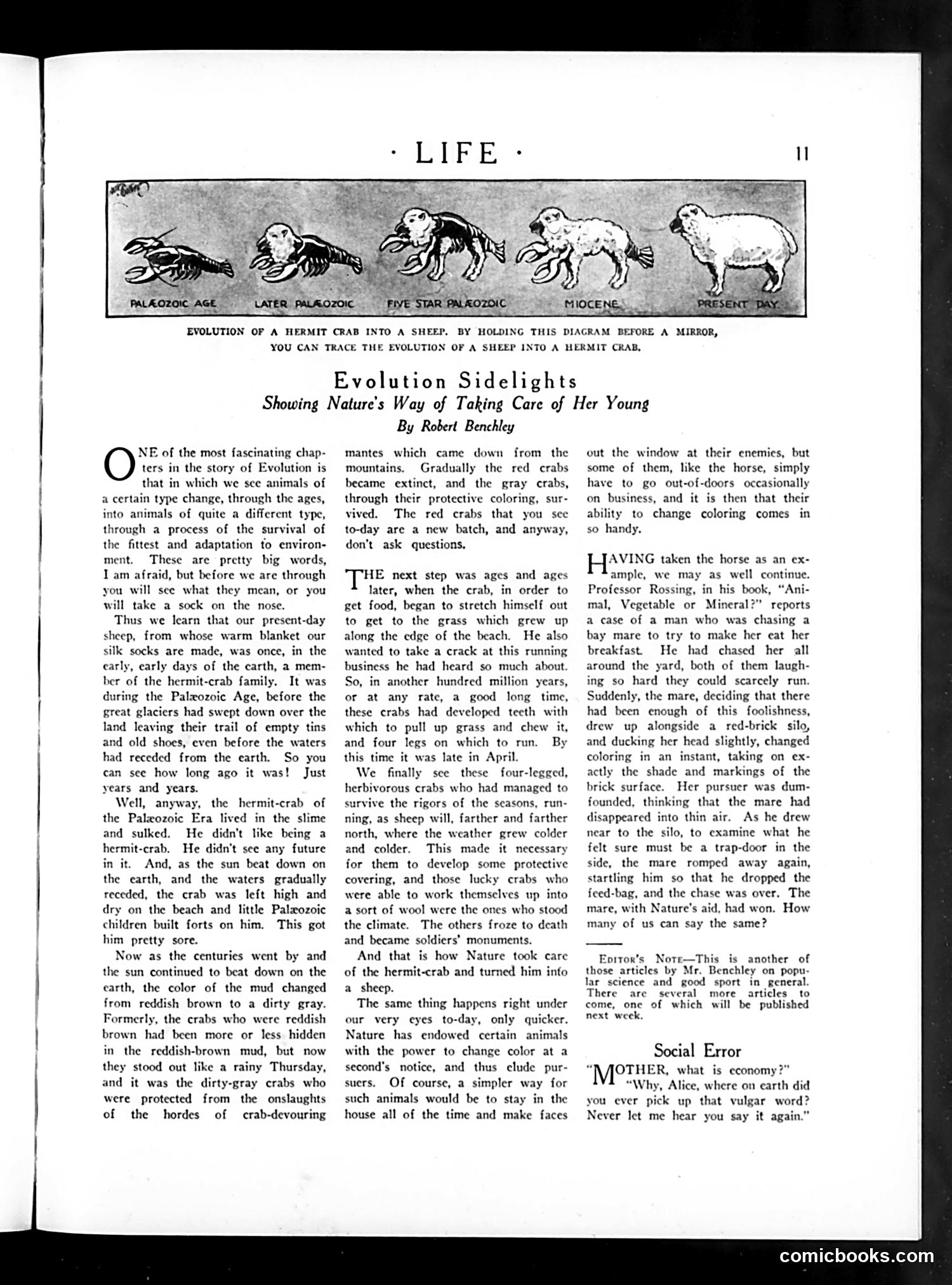 Life — June 25, 1925 — page 13 of 37