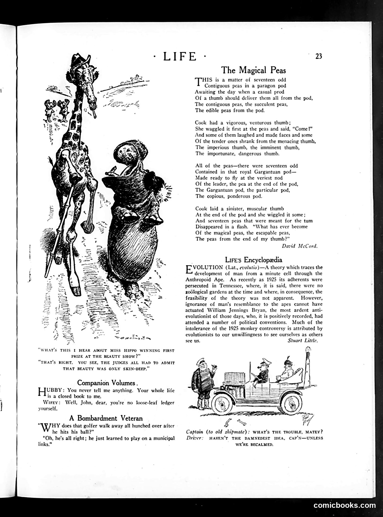 Life — June 25, 1925 — page 25 of 37