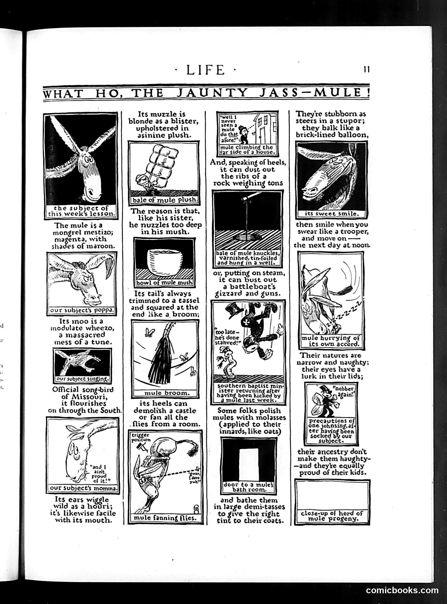 Life — August 6, 1925 — page 13 of 36
