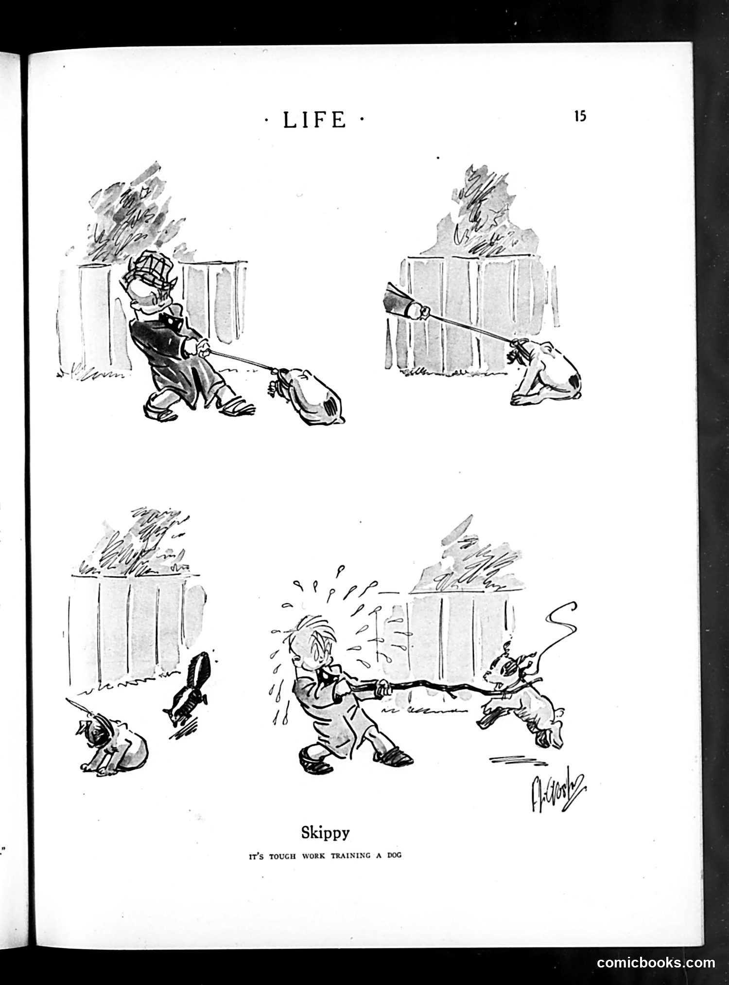 Life — November 12, 1925 — page 17 of 41