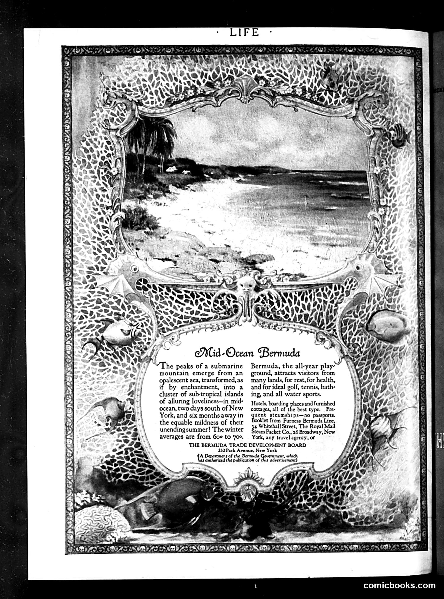 Life — December 10, 1925 — page 36 of 36