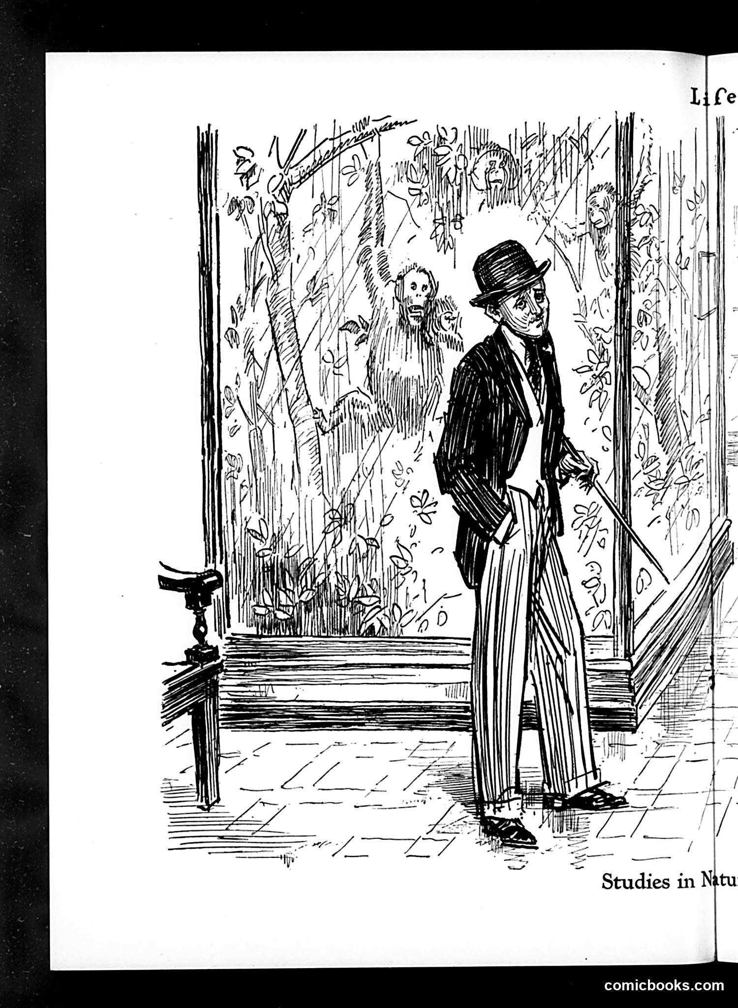 Life — July 29, 1926 — page 18 of 37