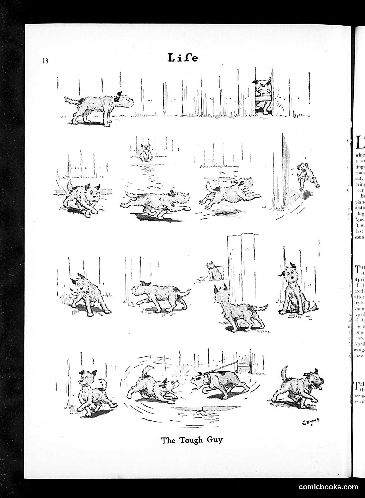 Life — August 12, 1926 — page 20 of 36