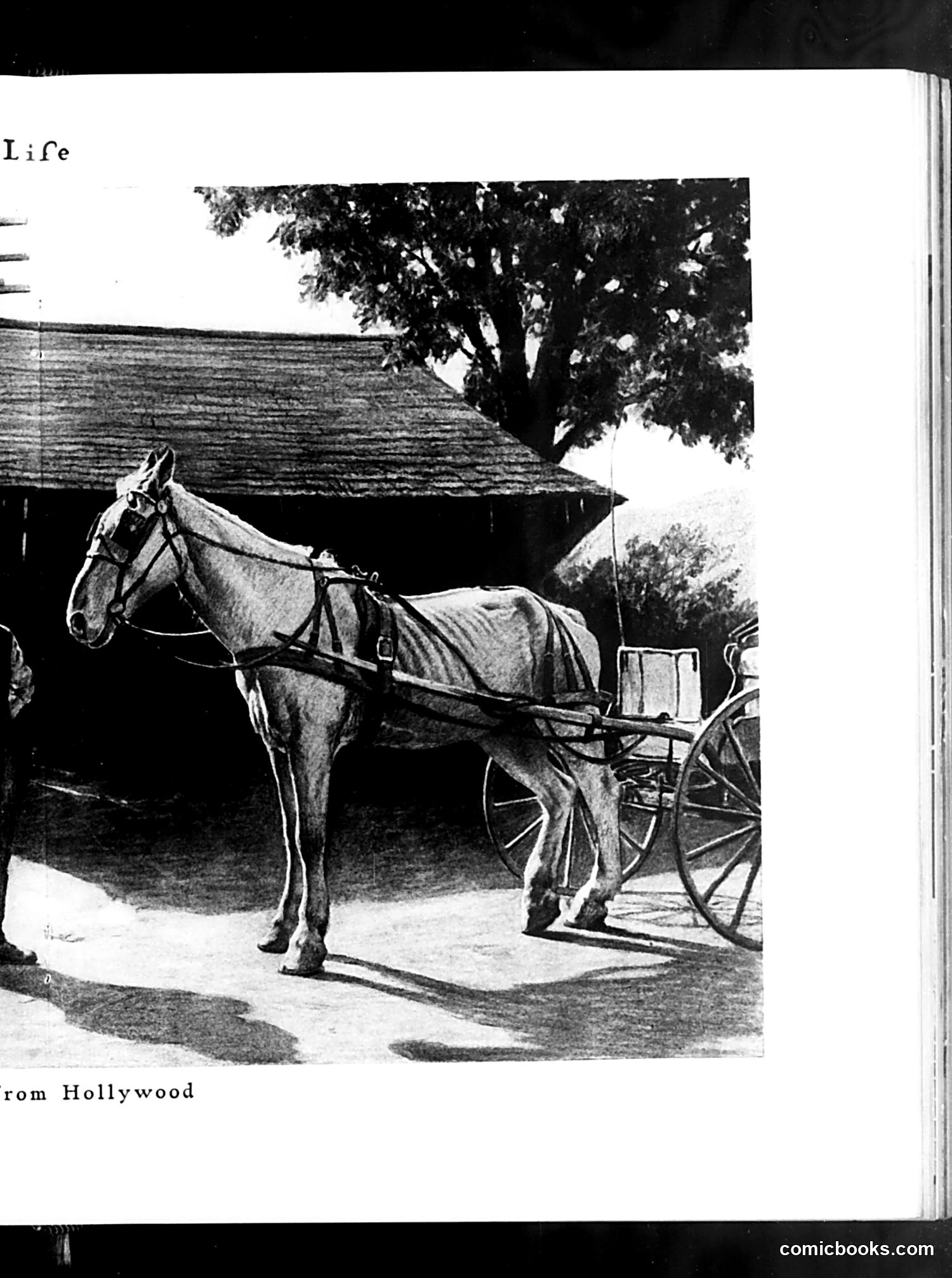 Life — July 7, 1927 — page 23 of 42