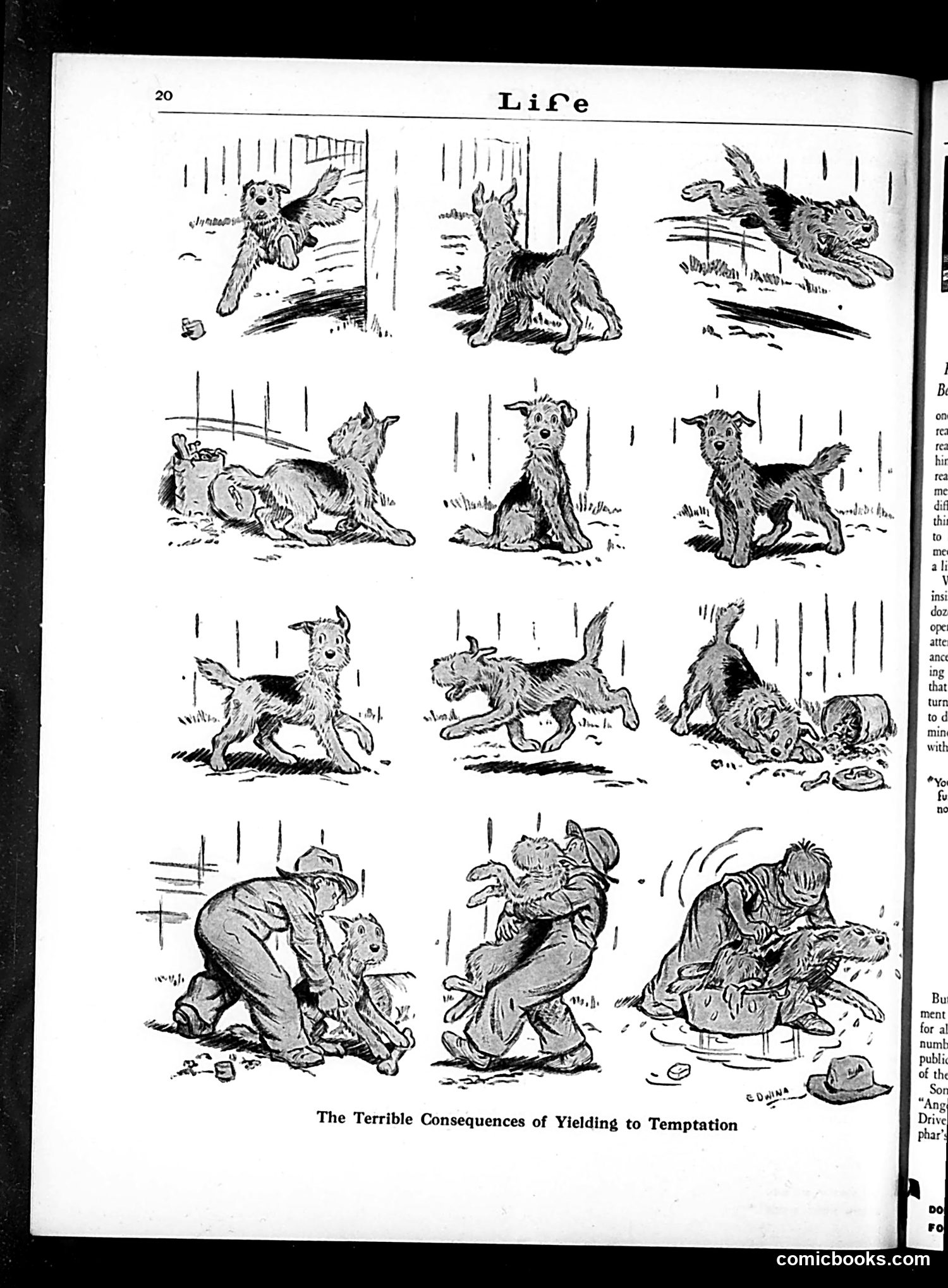 Life — January 25, 1929 — page 22 of 36