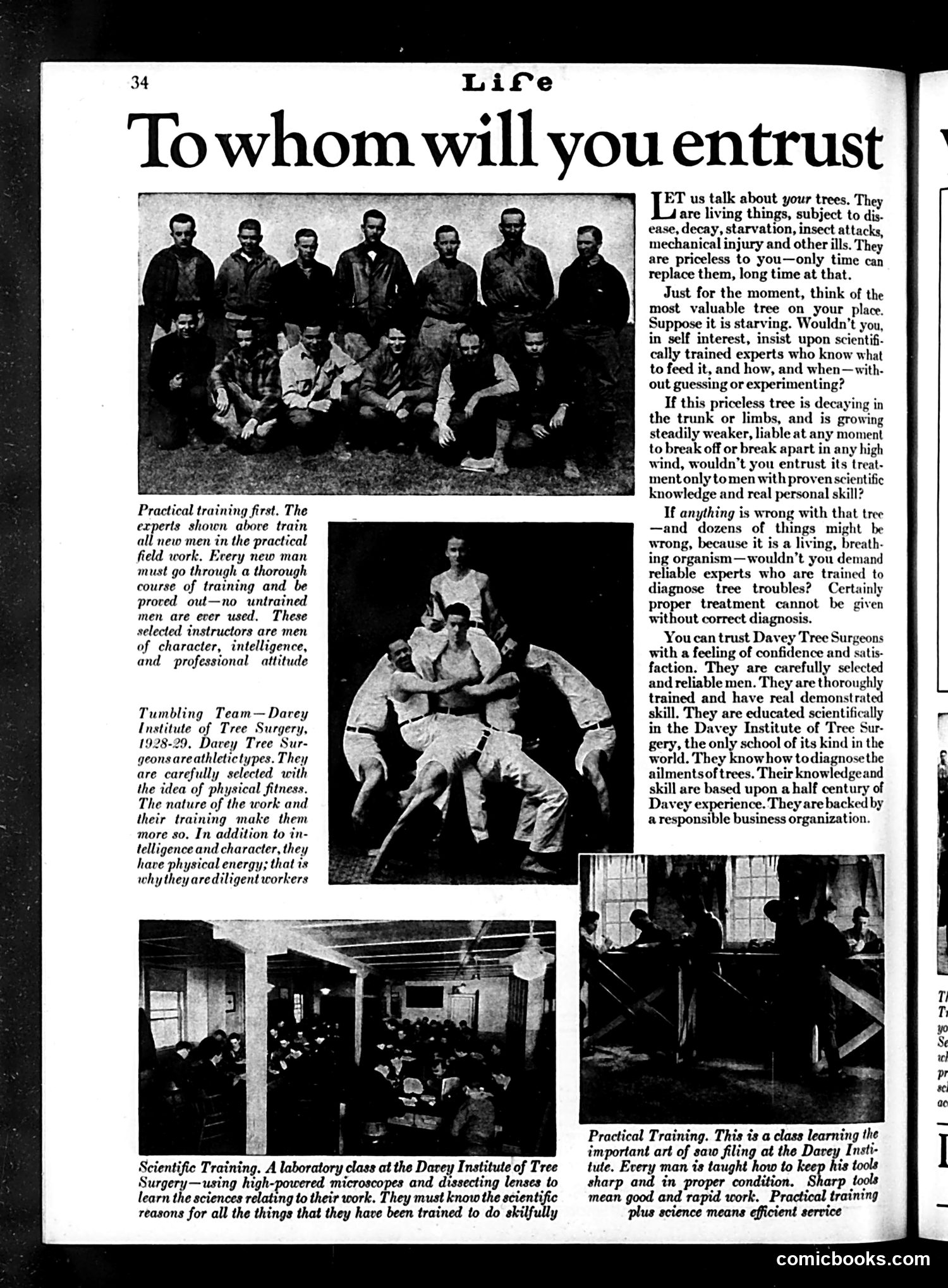 Life — April 19, 1929 — page 36 of 52