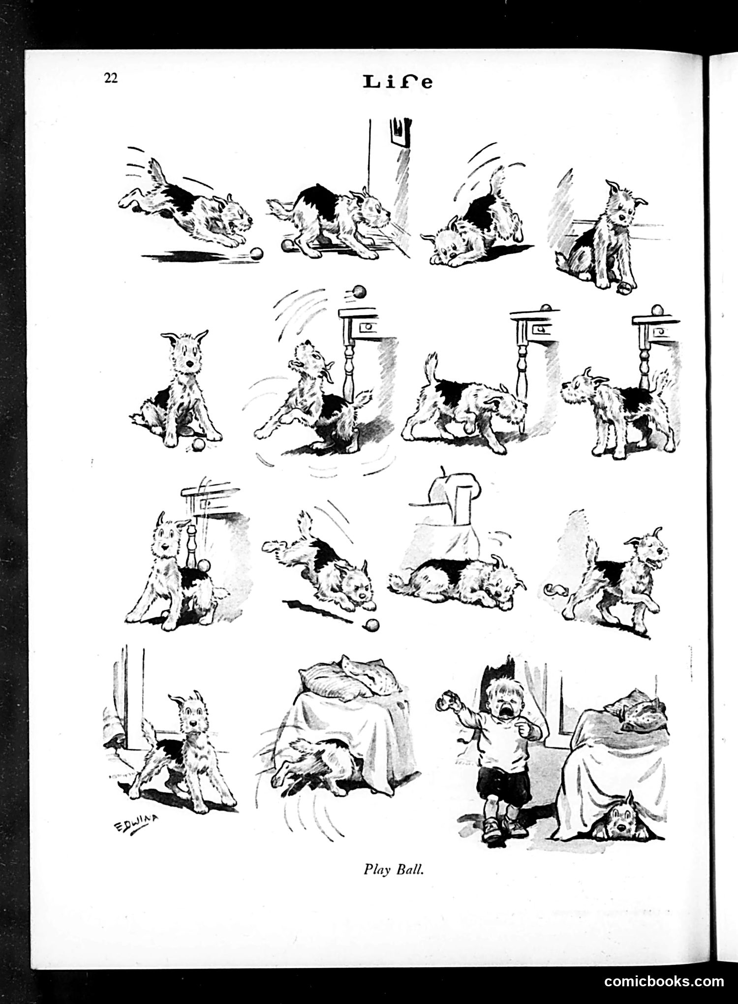 Life — May 17, 1929 — page 24 of 52