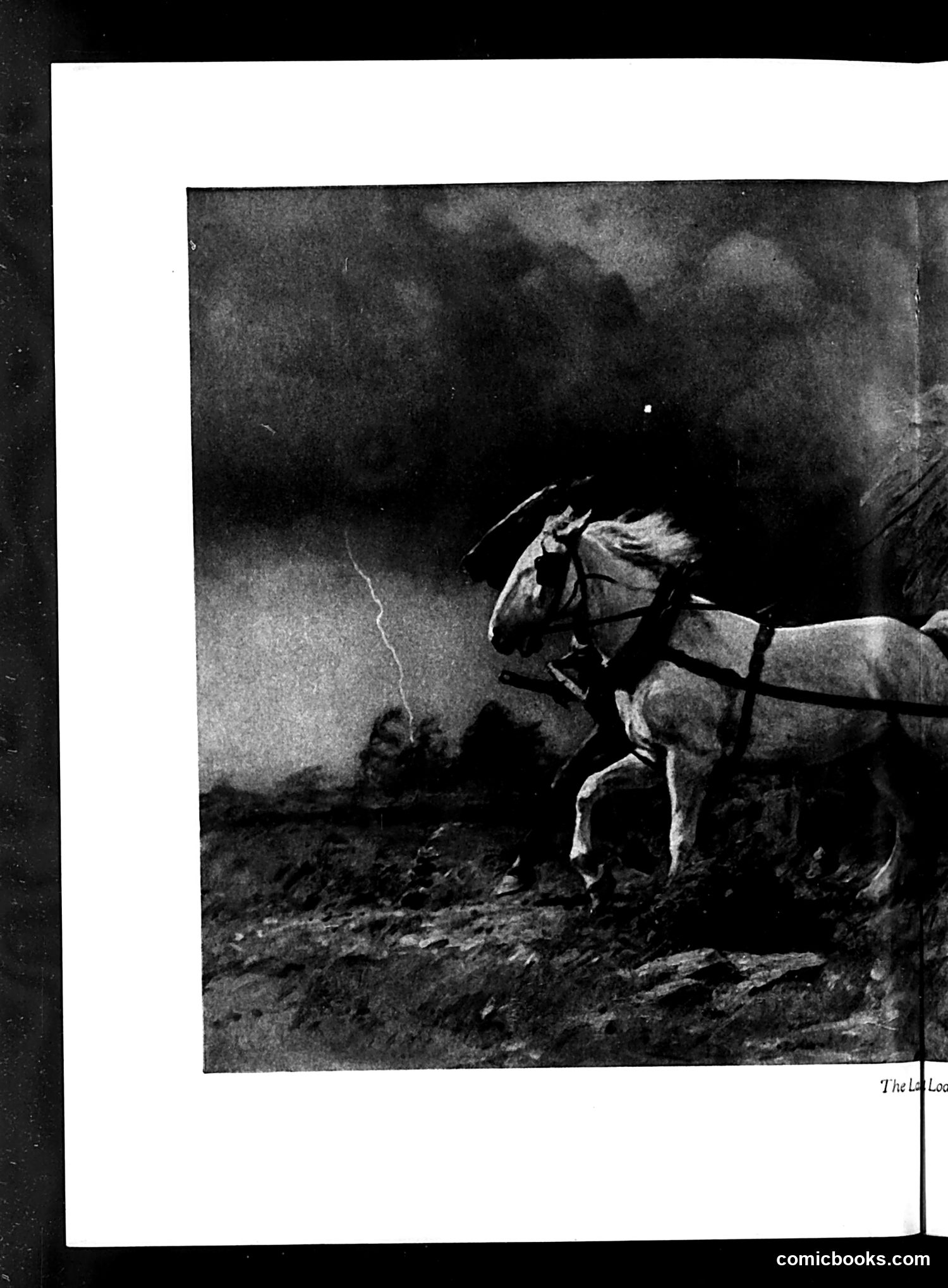 Life — June 7, 1929 — page 24 of 48