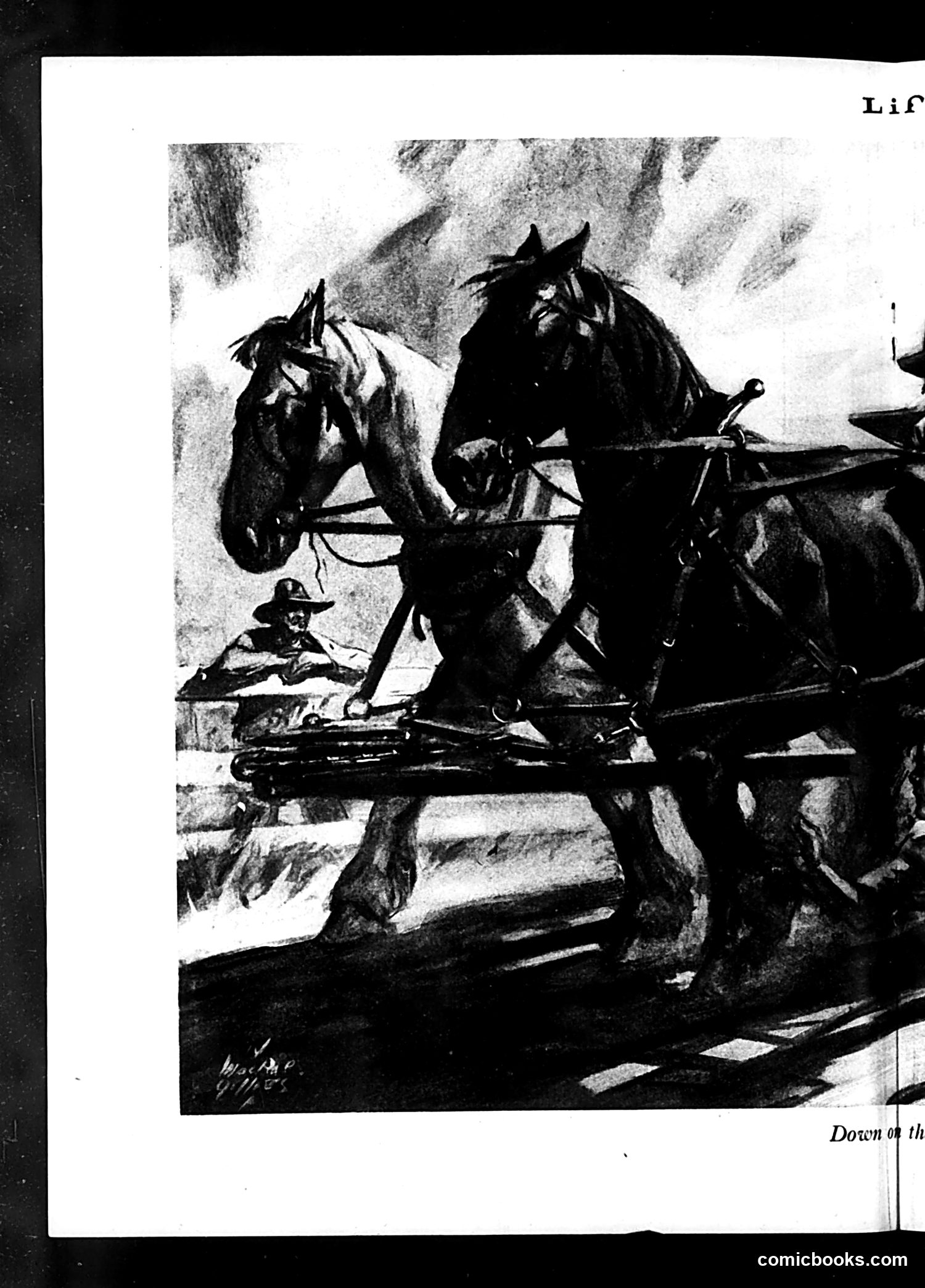Life — July 5, 1929 — page 20 of 41