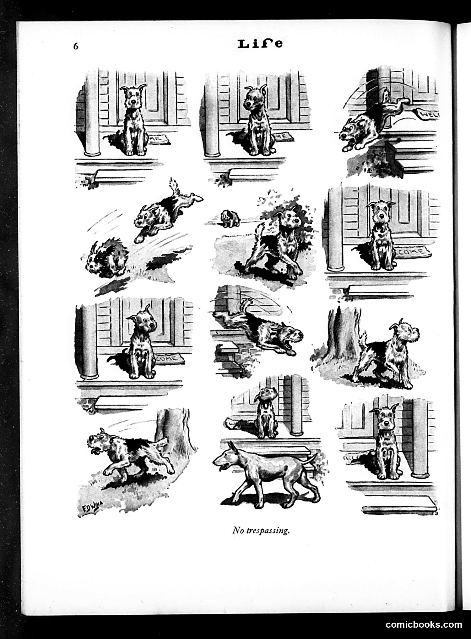 Life — July 19, 1929 — page 8 of 36