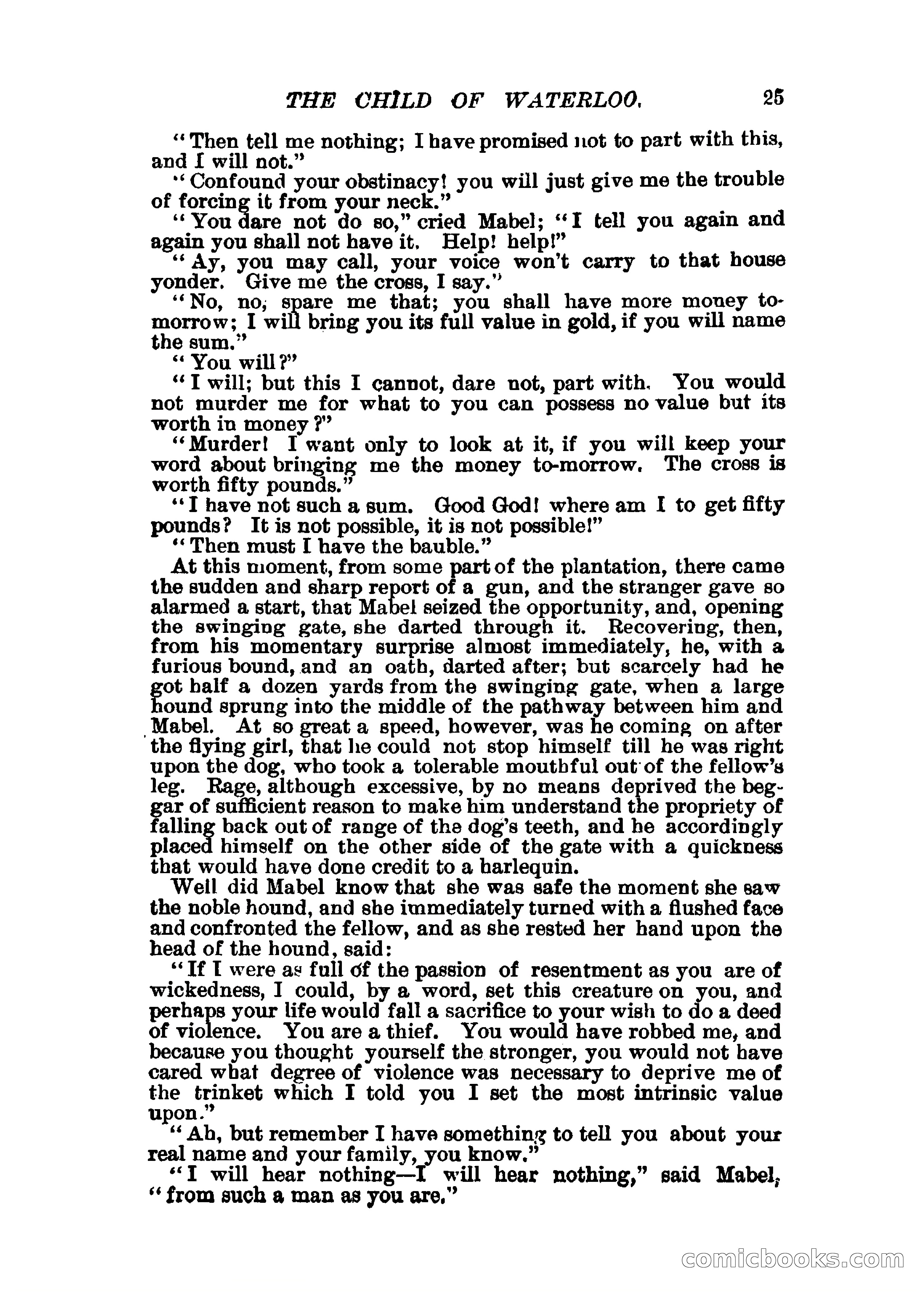 The Child of Waterloo, or, The Horrors of the Battle-Field — page 28 of 308