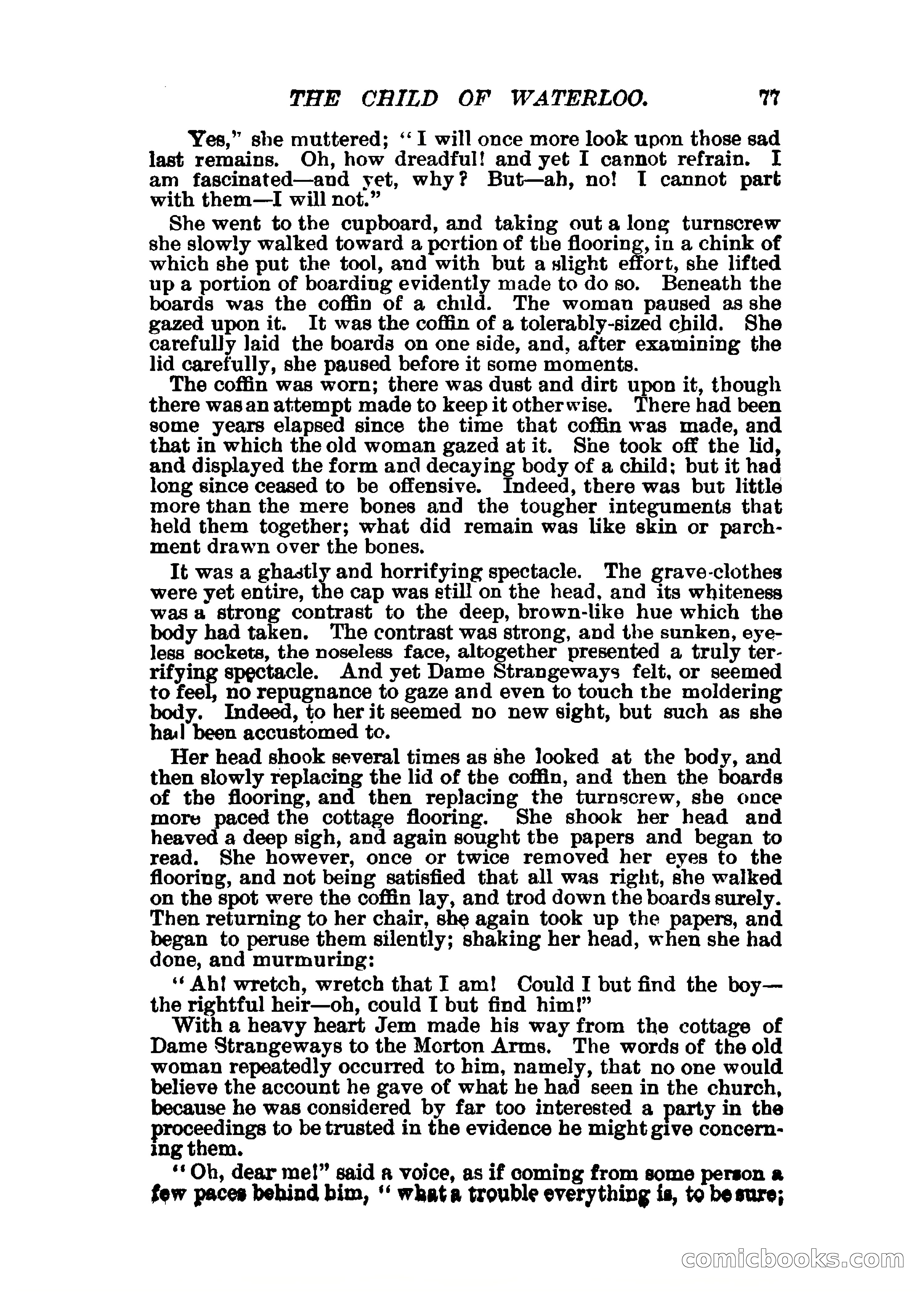 The Child of Waterloo, or, The Horrors of the Battle-Field — page 80 of 308