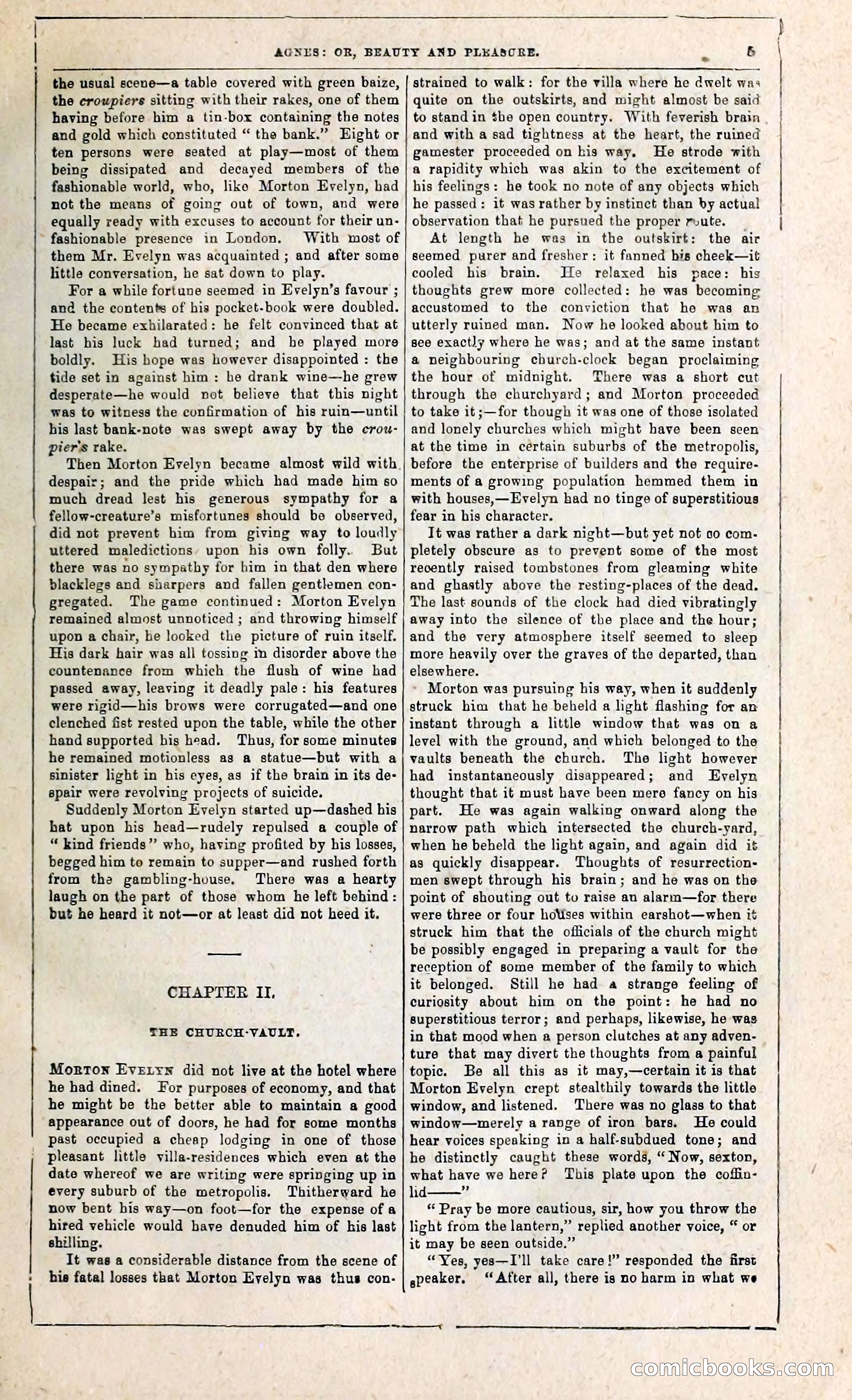 Agnes, or, Beauty and Pleasure — page 13 of 394