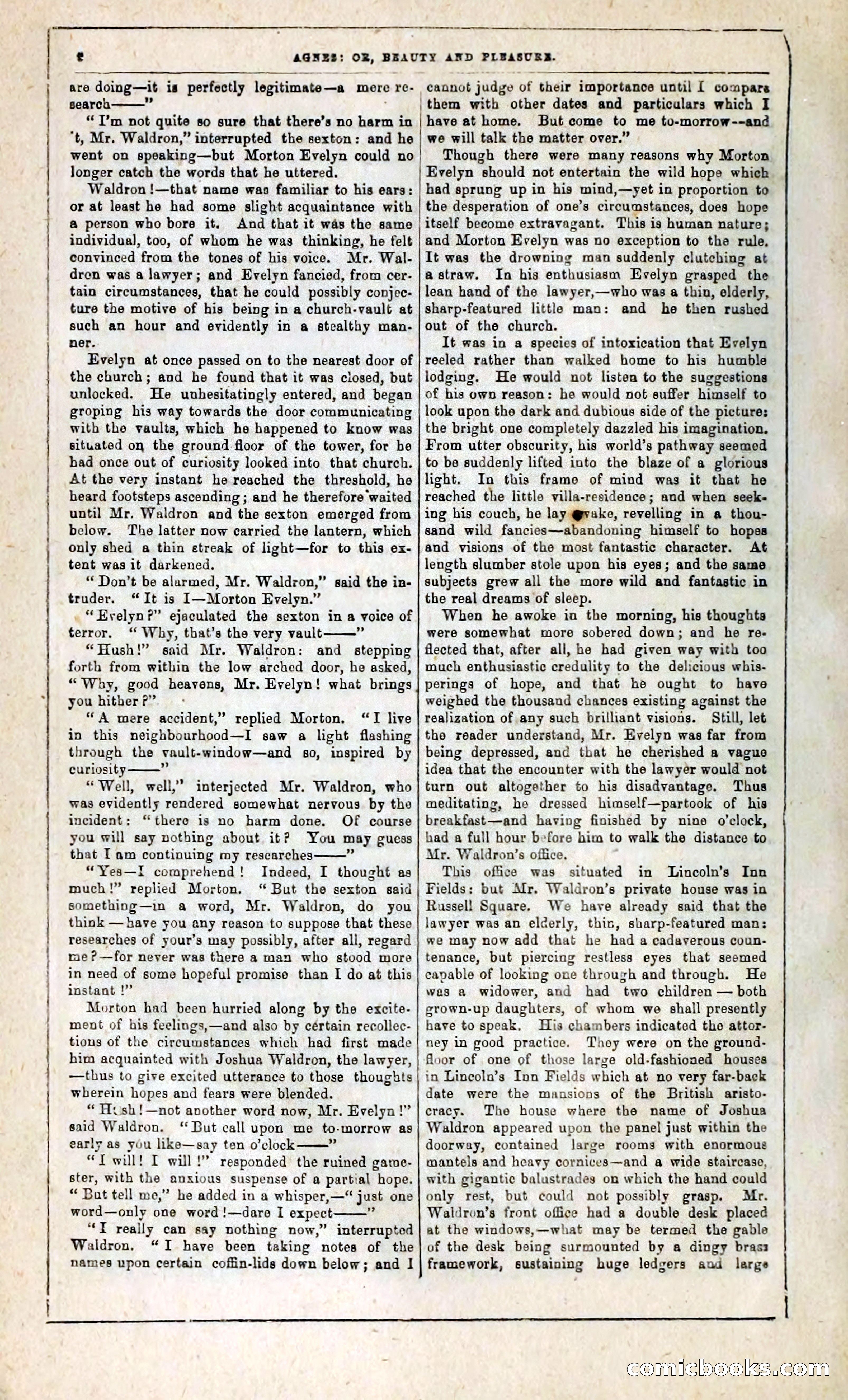 Agnes, or, Beauty and Pleasure — page 14 of 394