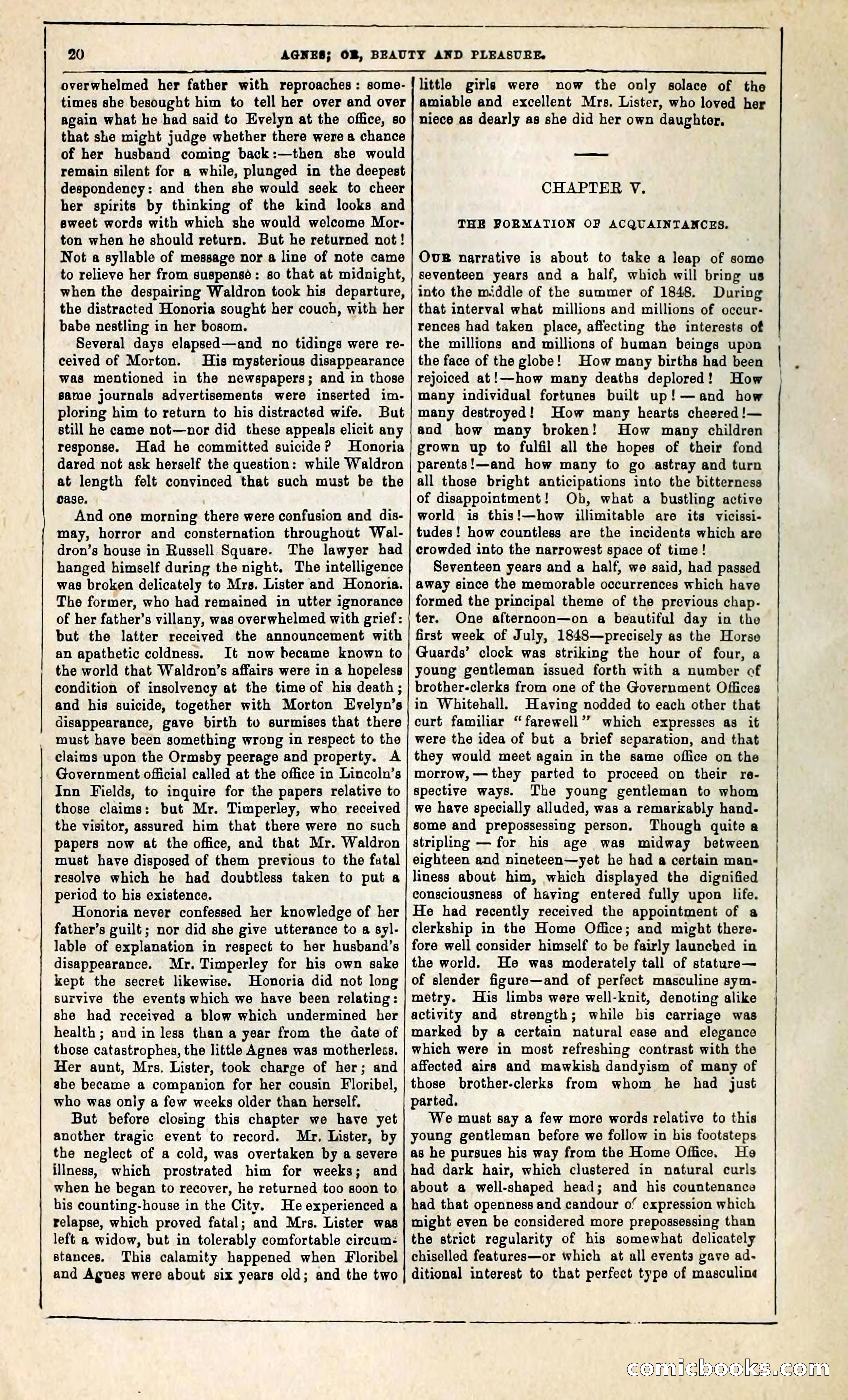 Agnes, or, Beauty and Pleasure — page 28 of 394