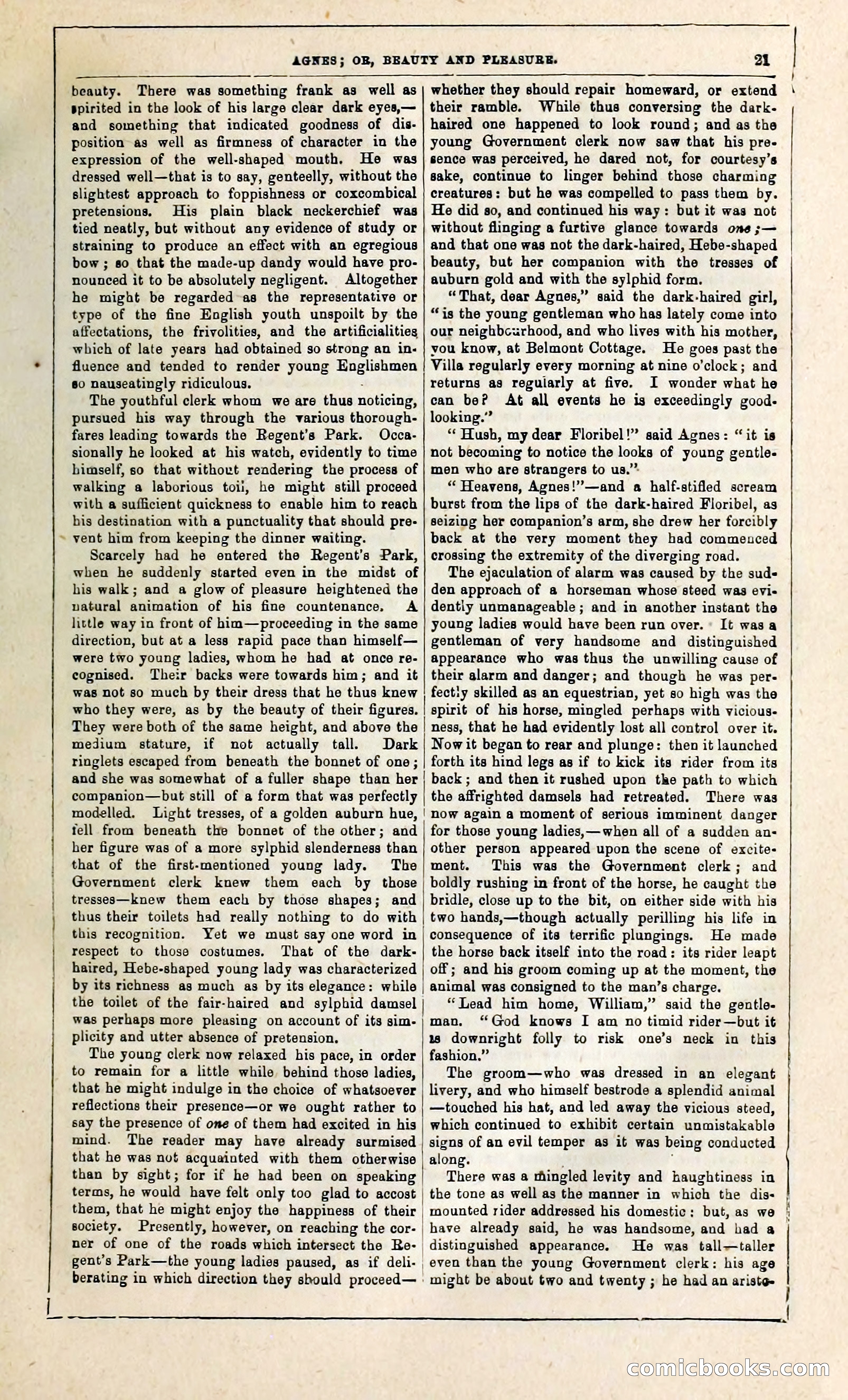 Agnes, or, Beauty and Pleasure — page 29 of 394