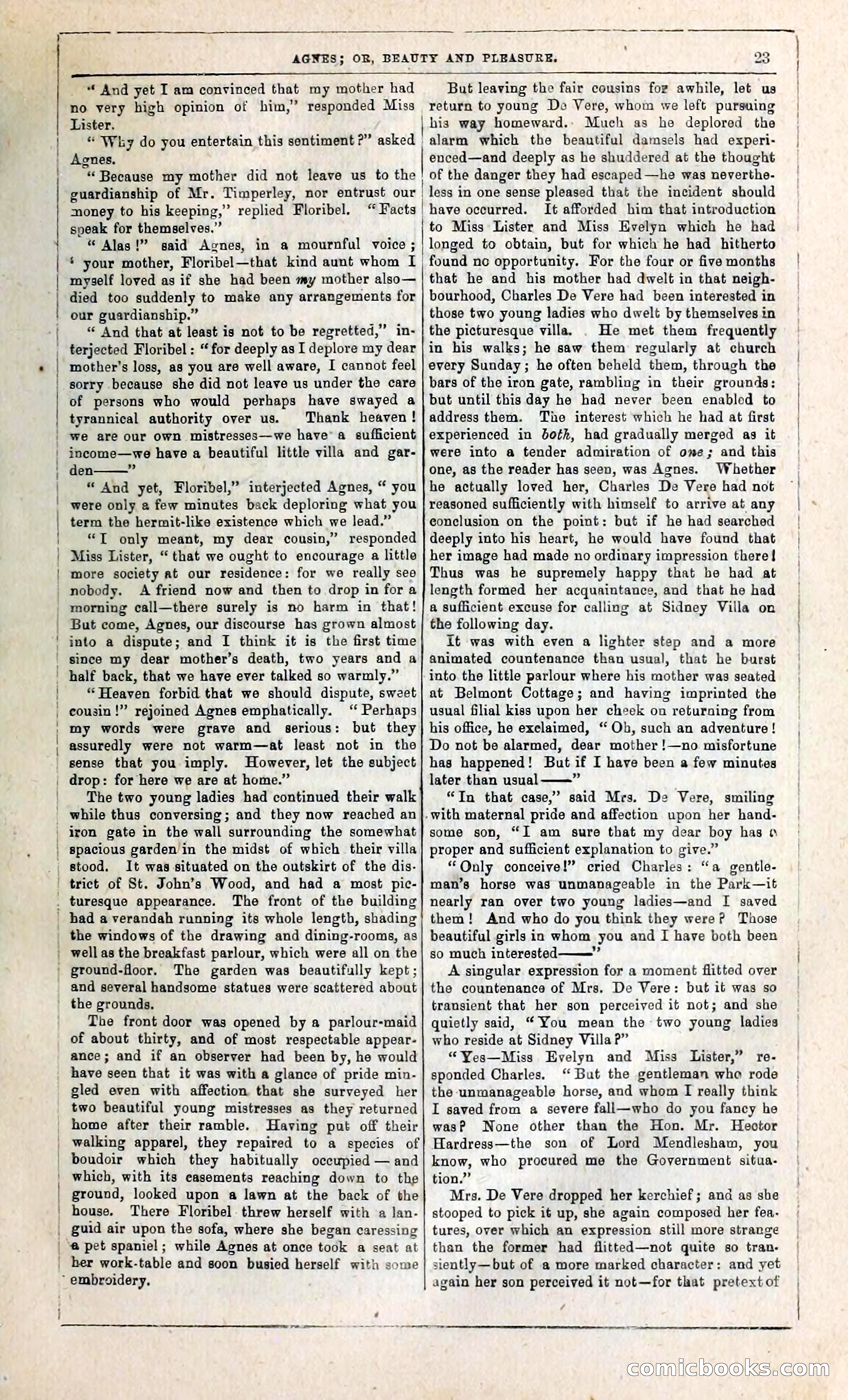 Agnes, or, Beauty and Pleasure — page 31 of 394