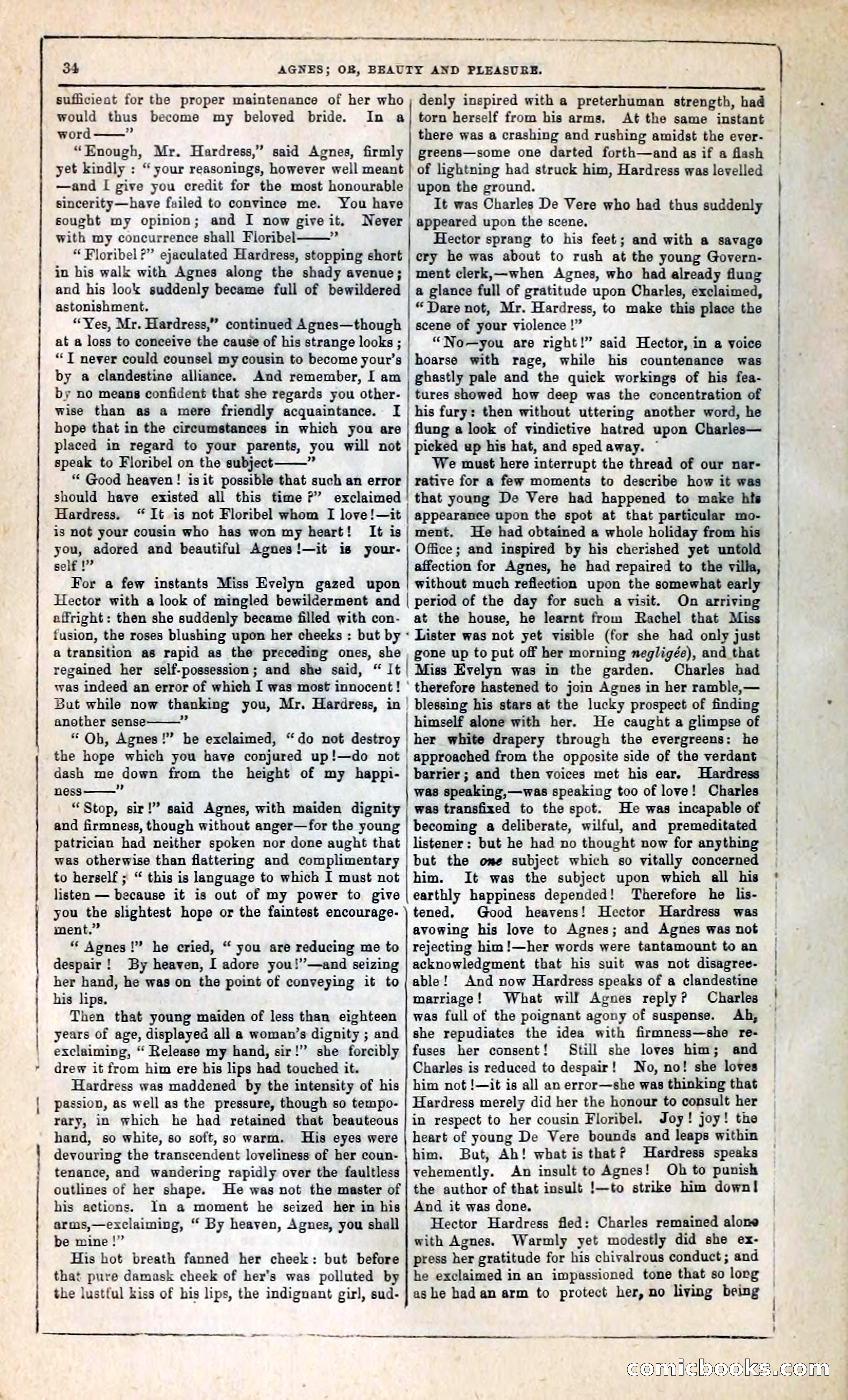 Agnes, or, Beauty and Pleasure — page 42 of 394