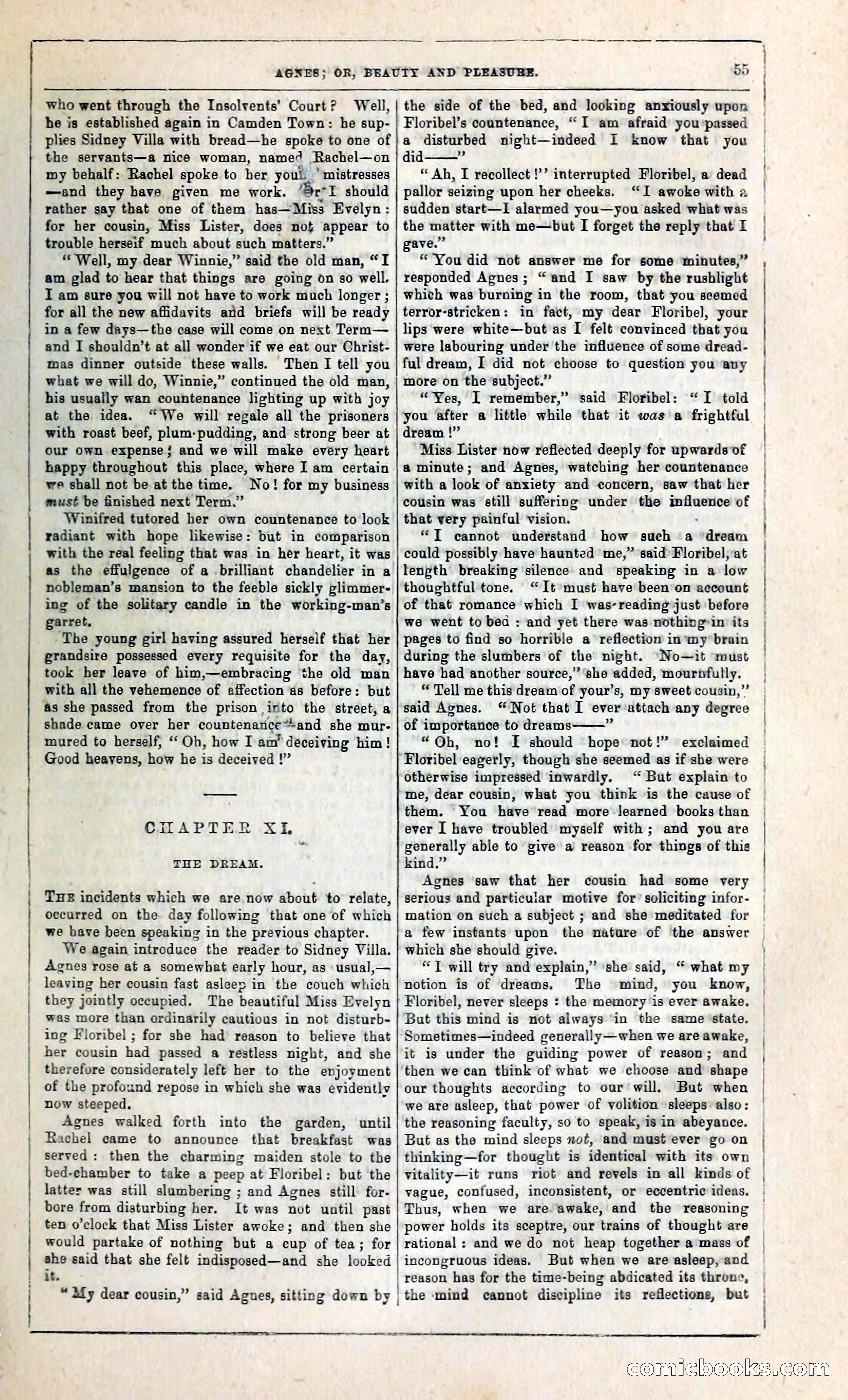 Agnes, or, Beauty and Pleasure — page 63 of 394