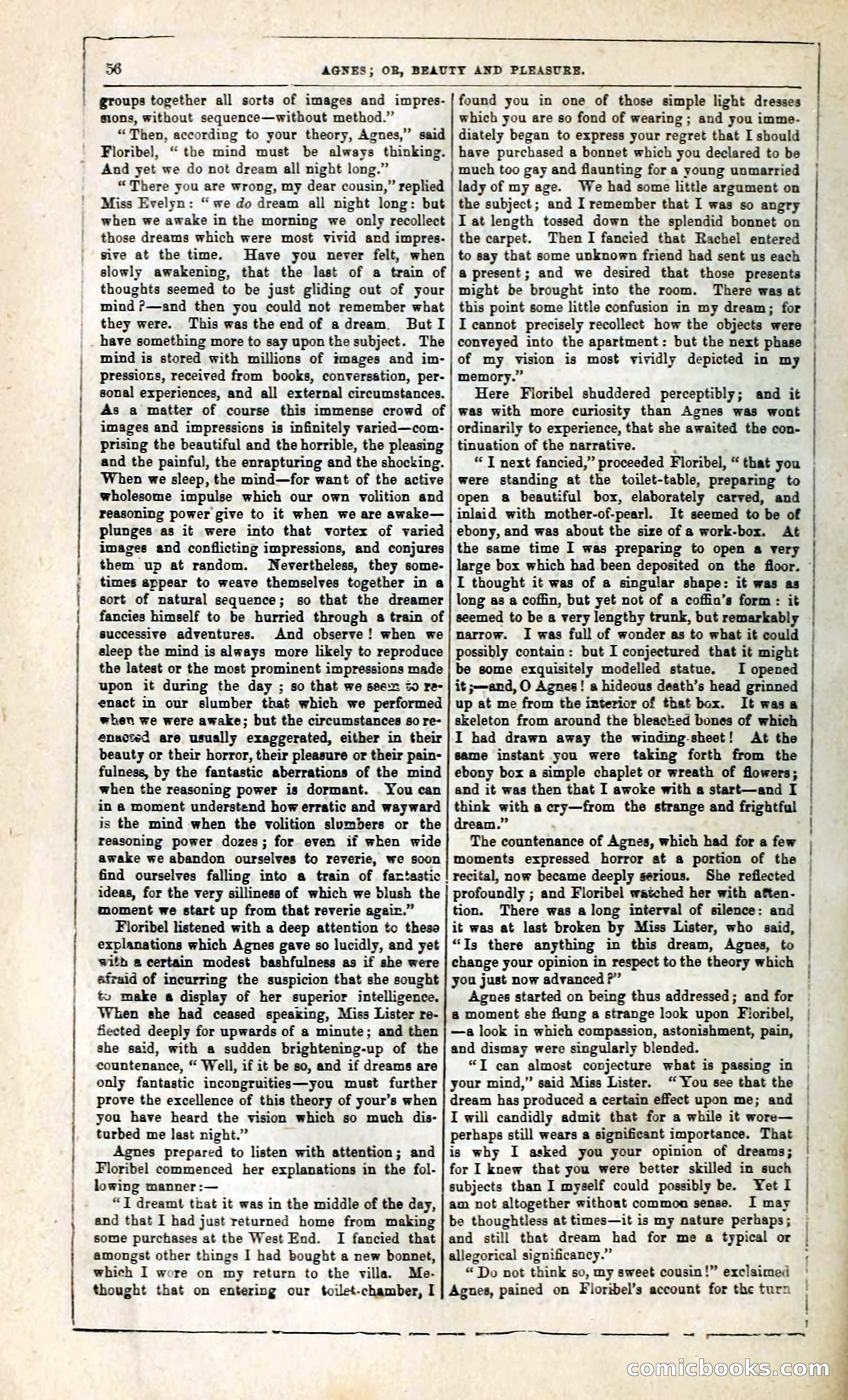 Agnes, or, Beauty and Pleasure — page 64 of 394