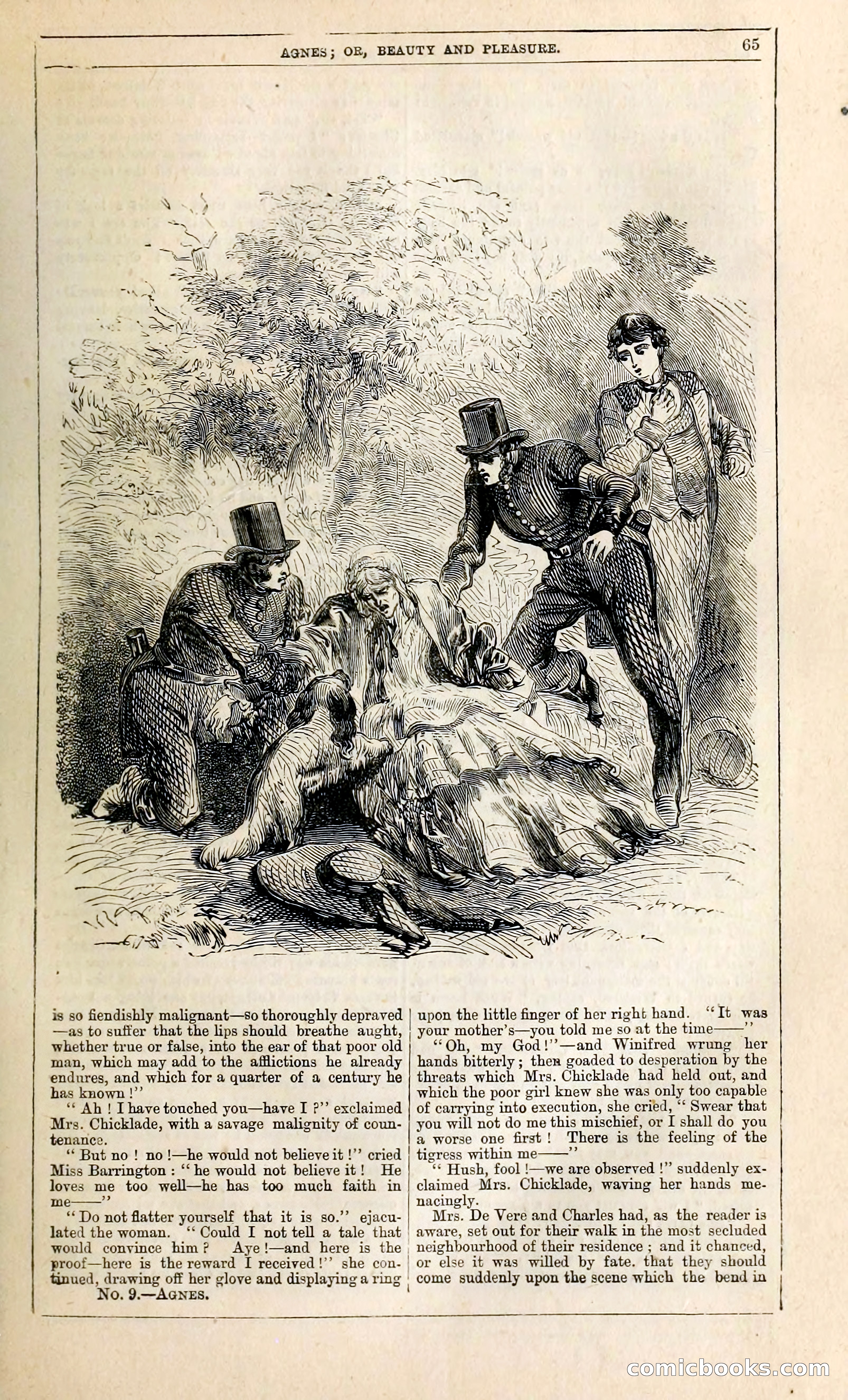 Agnes, or, Beauty and Pleasure — page 73 of 394