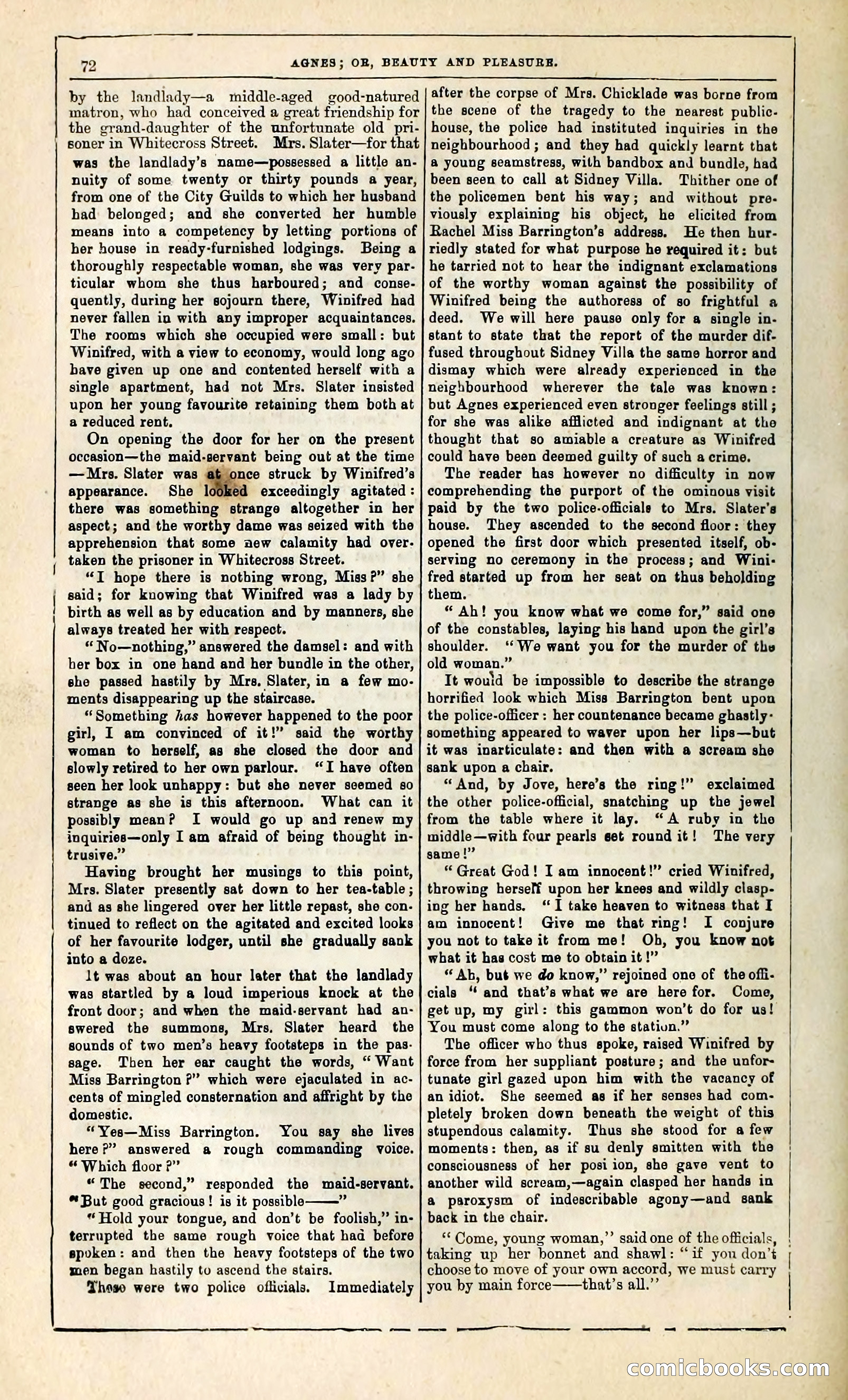 Agnes, or, Beauty and Pleasure — page 80 of 394