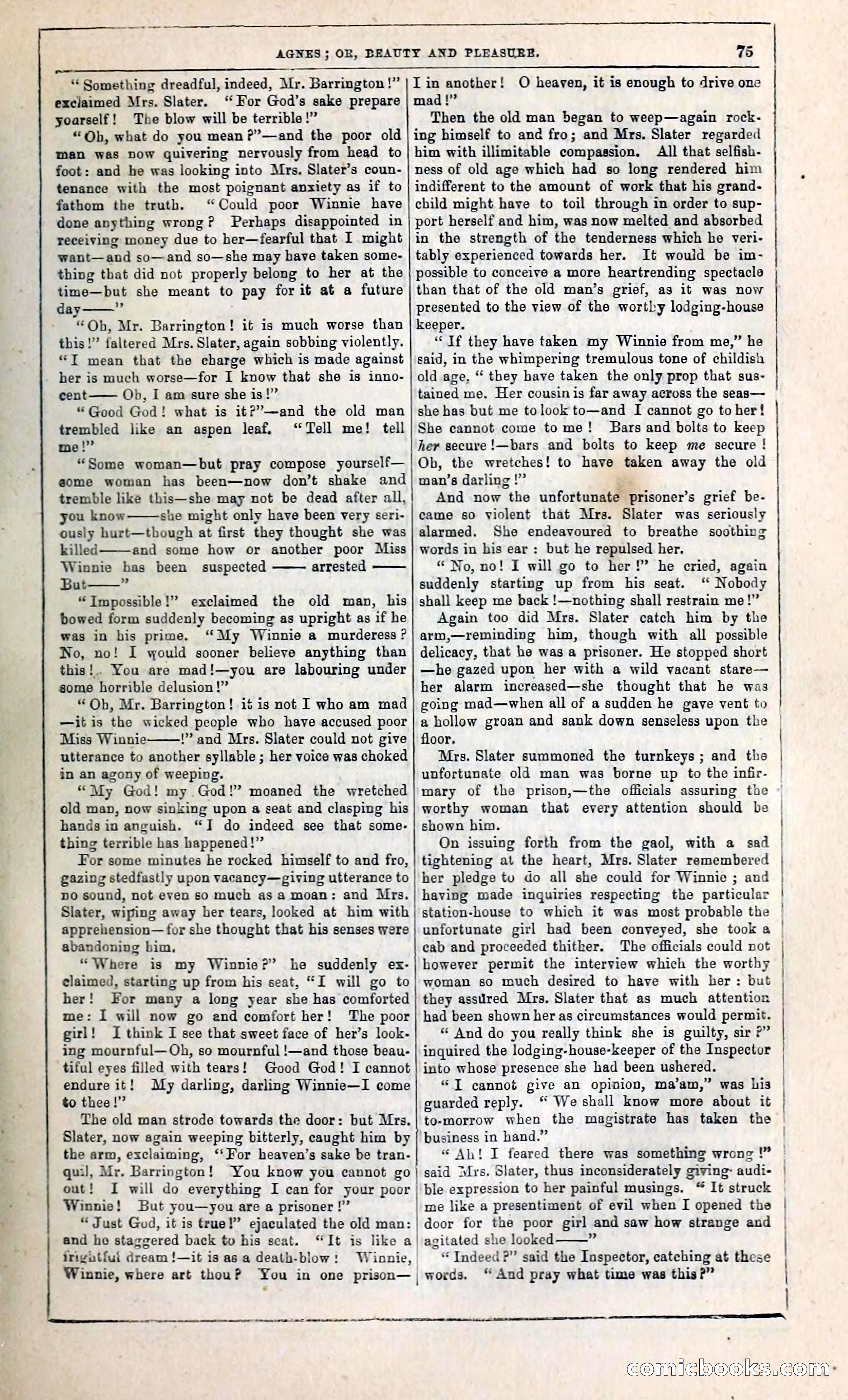 Agnes, or, Beauty and Pleasure — page 83 of 394