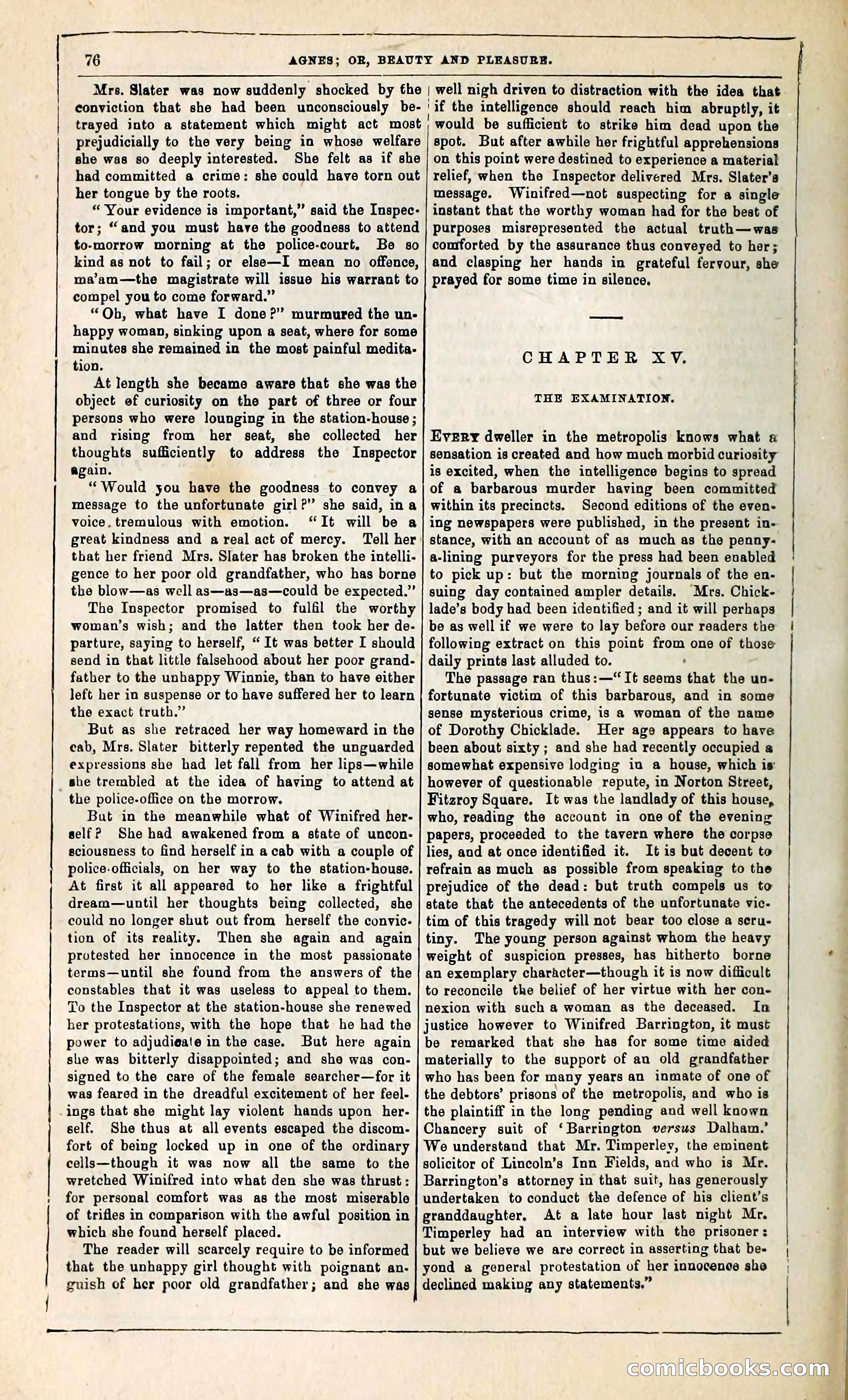Agnes, or, Beauty and Pleasure — page 84 of 394