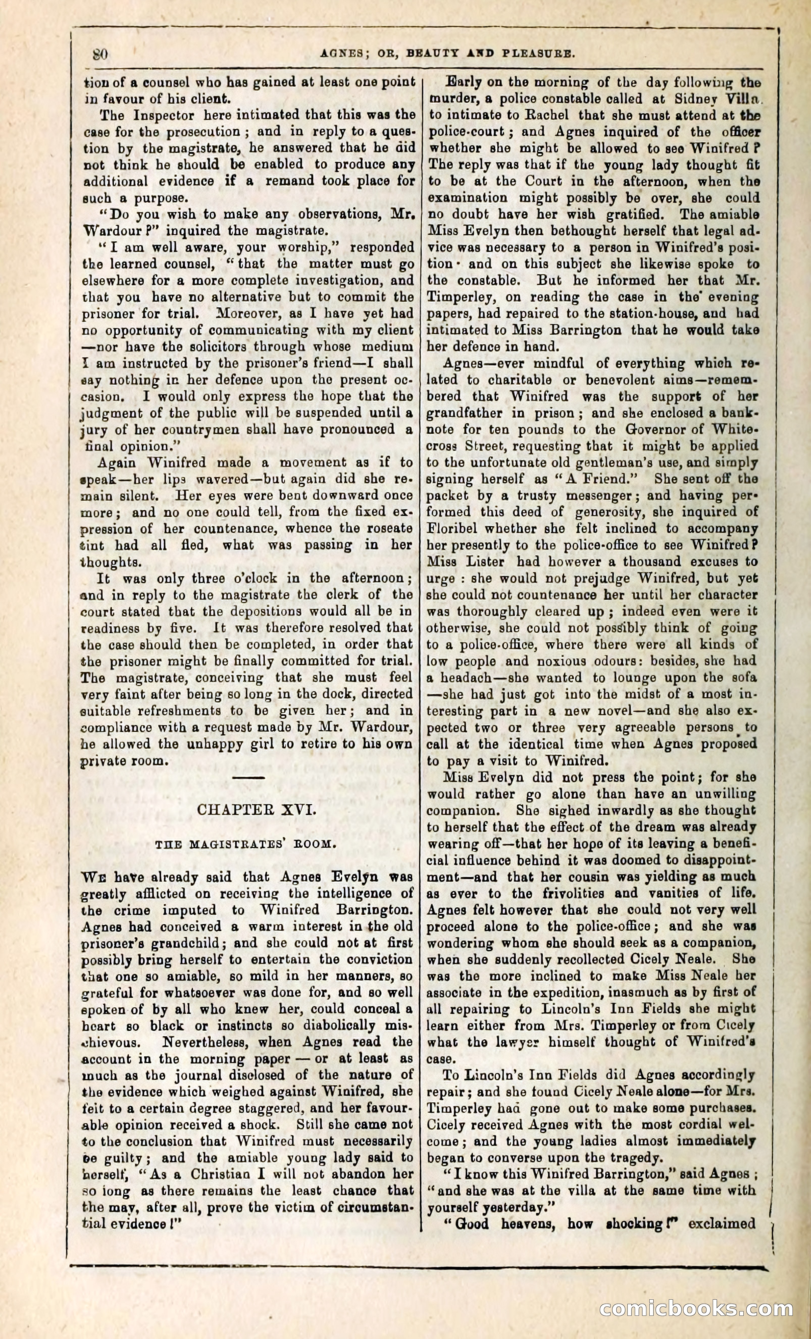 Agnes, or, Beauty and Pleasure — page 88 of 394
