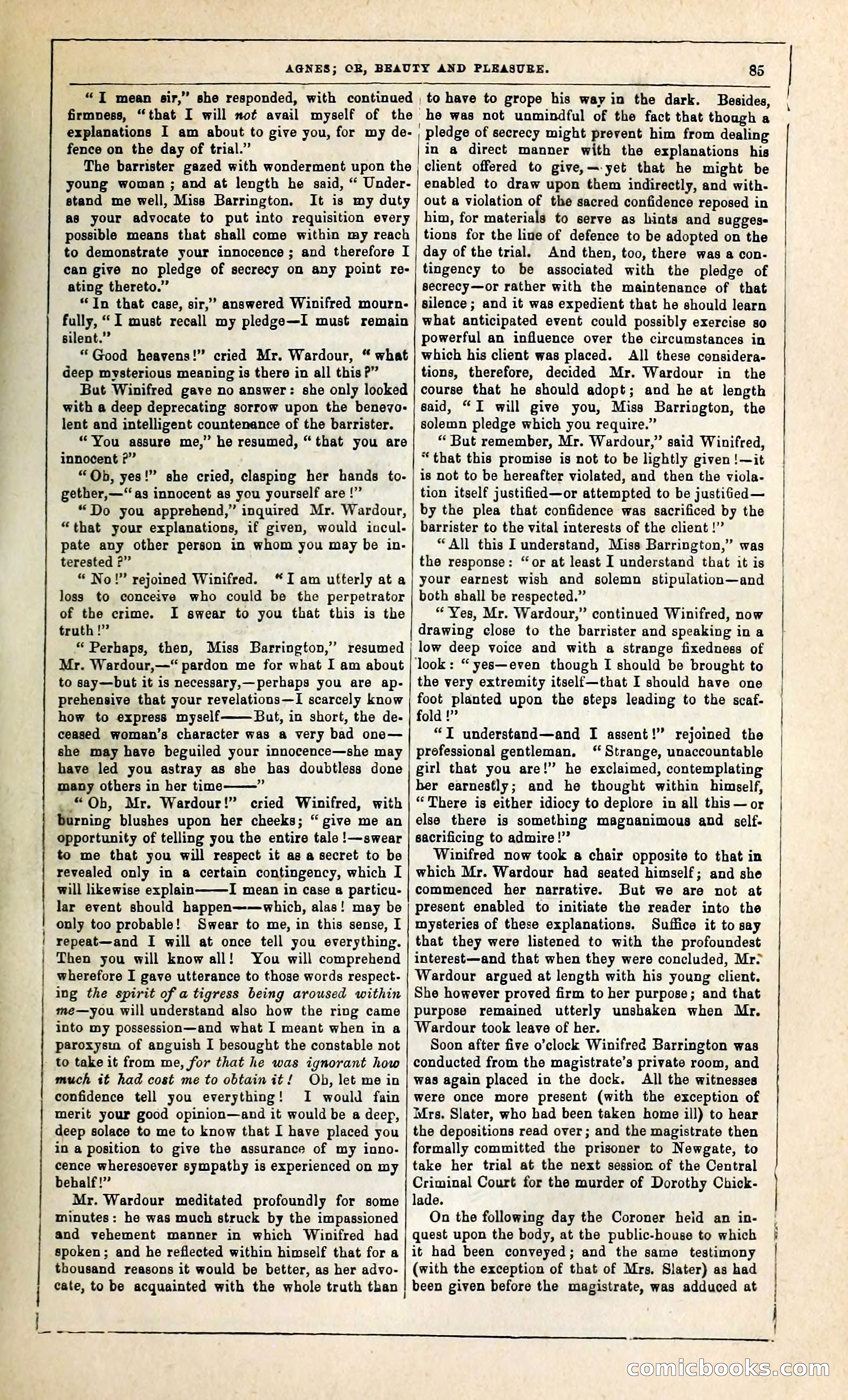 Agnes, or, Beauty and Pleasure — page 93 of 394