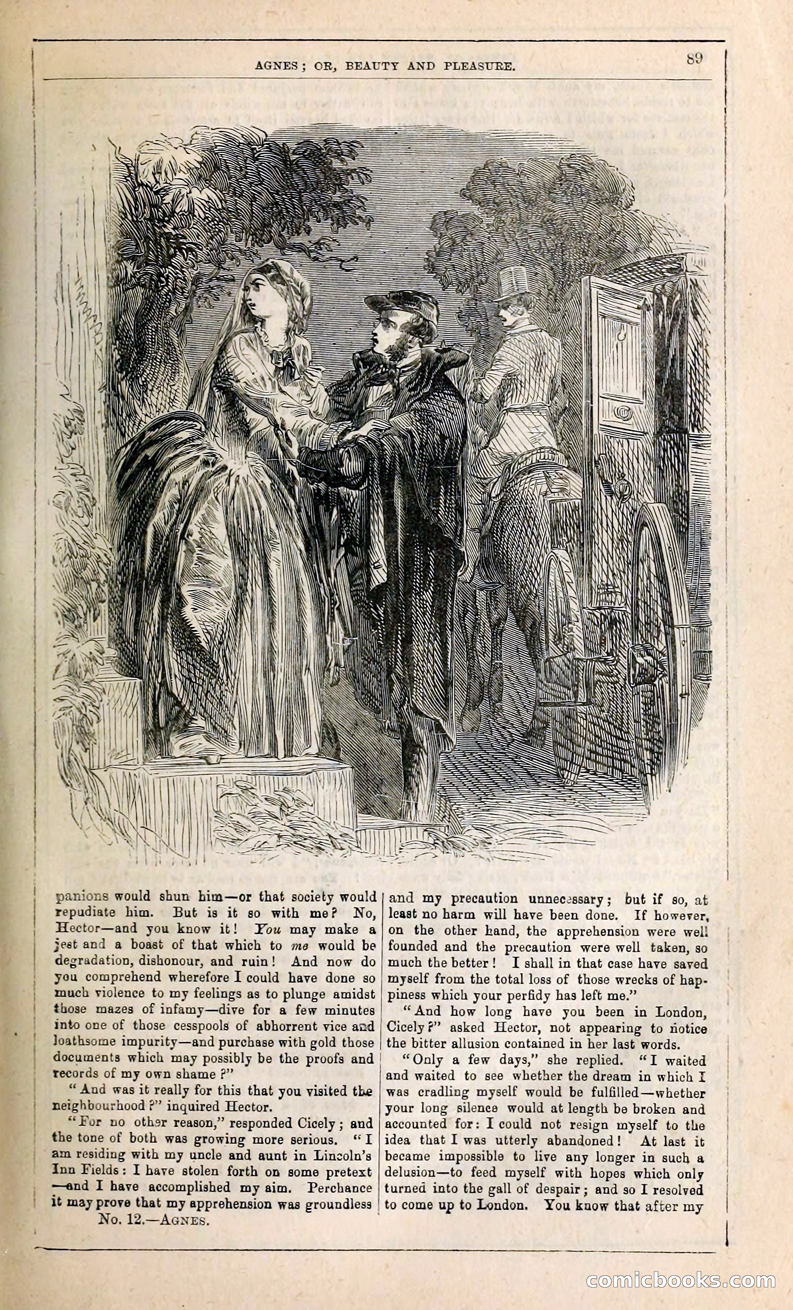 Agnes, or, Beauty and Pleasure — page 97 of 394